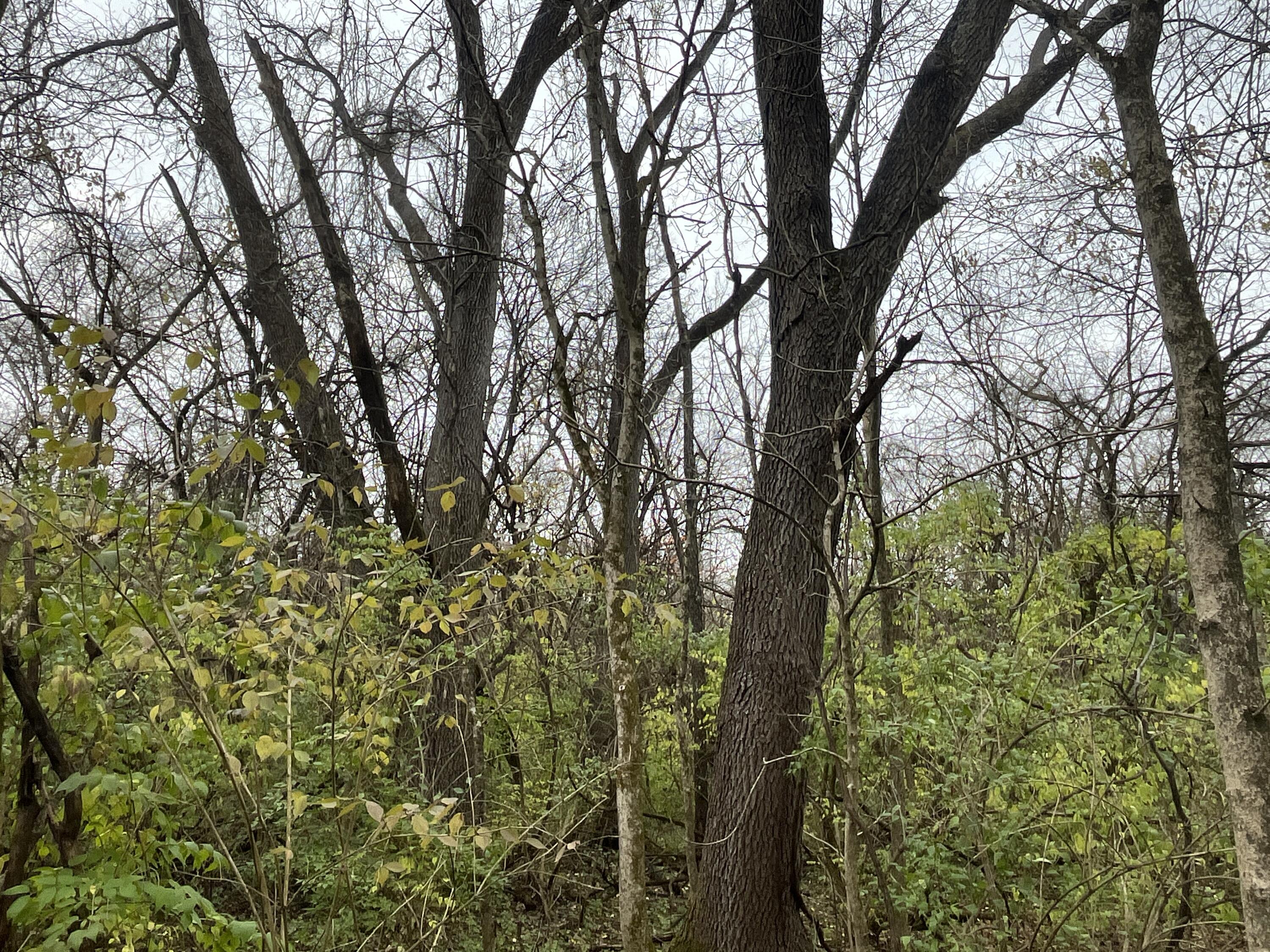 9237 Dog Leg Road, Dayton, Ohio 45414