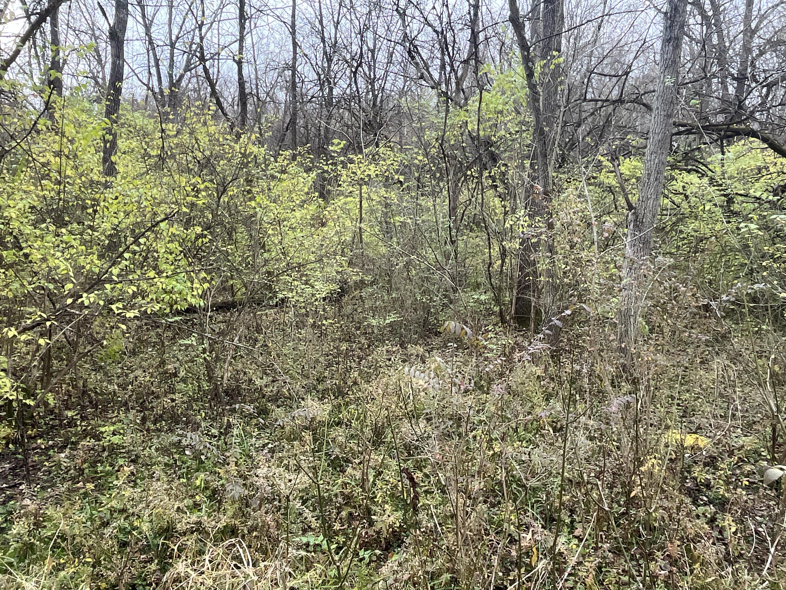 9237 Dog Leg Road, Dayton, Ohio 45414