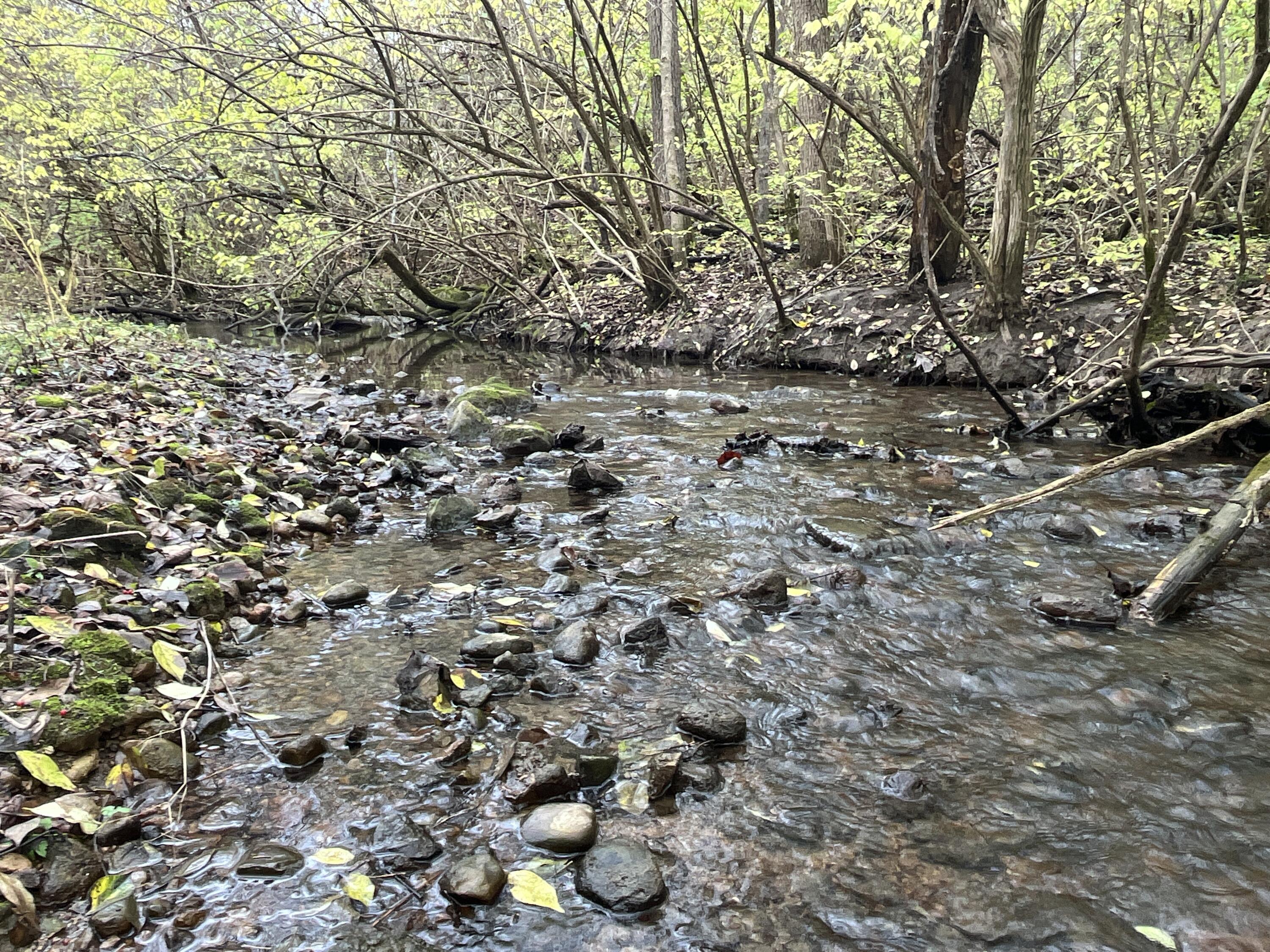 9237 Dog Leg Road, Dayton, Ohio 45414