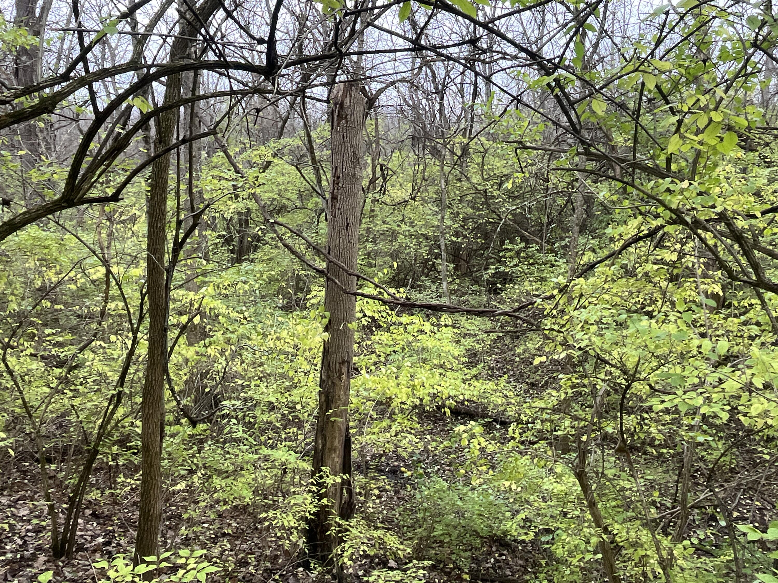 9237 Dog Leg Road, Dayton, Ohio 45414