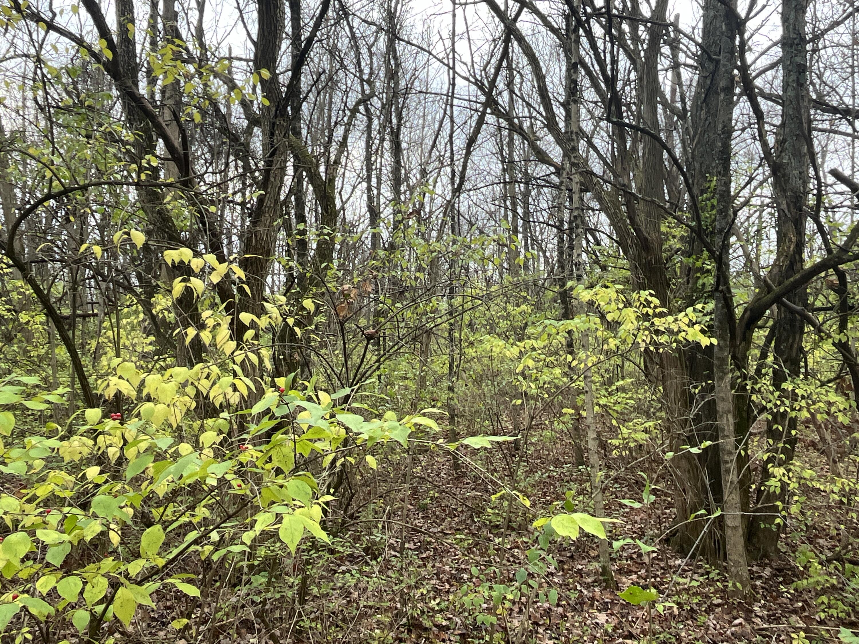 9237 Dog Leg Road, Dayton, Ohio 45414