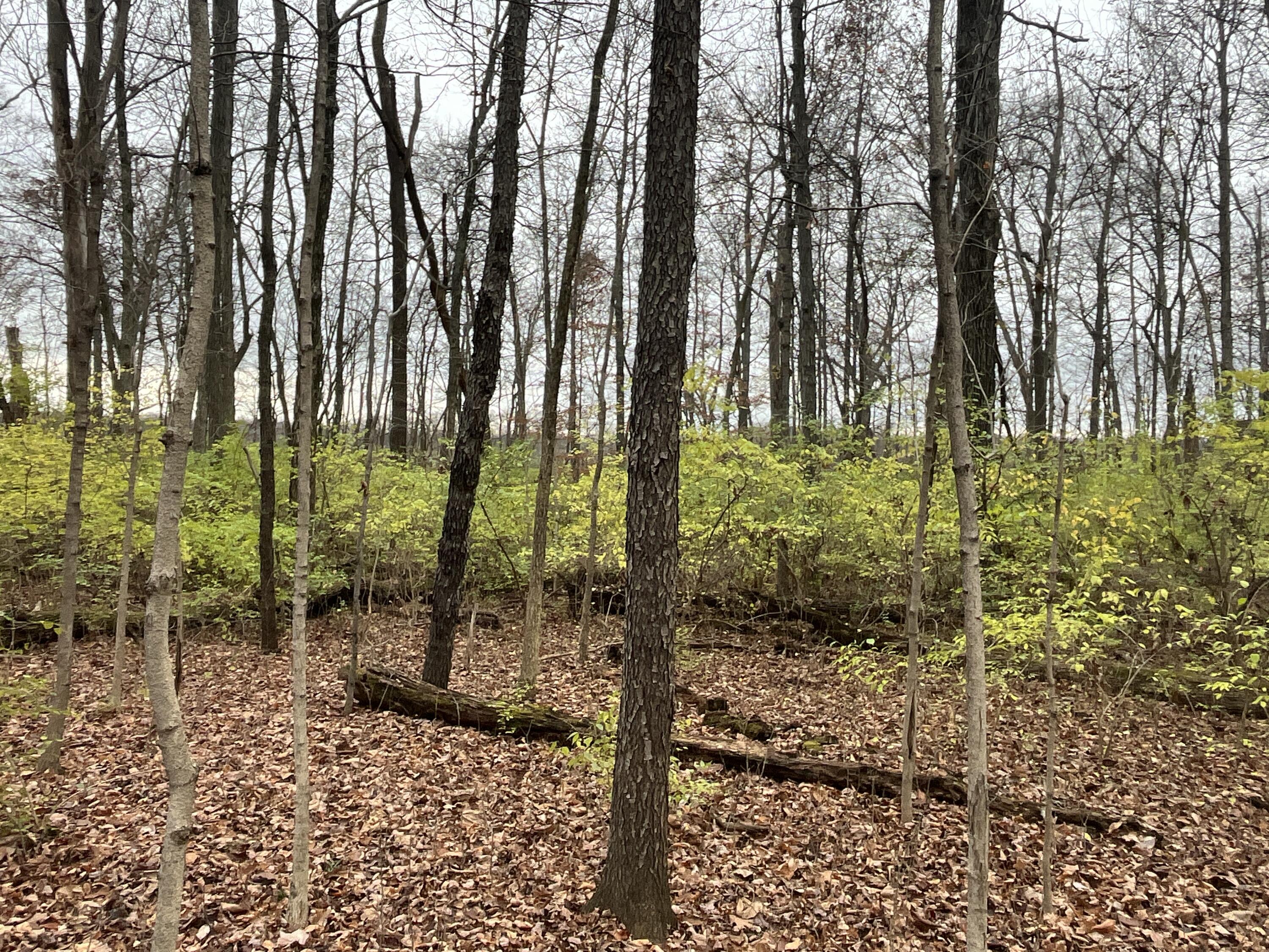 9237 Dog Leg Road, Dayton, Ohio 45414