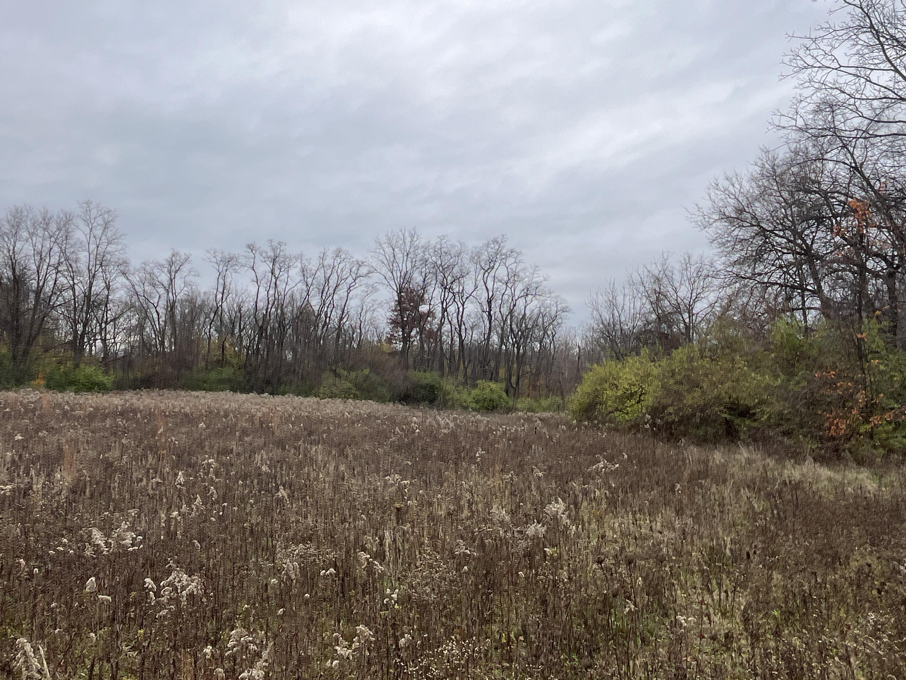 9237 Dog Leg Road, Dayton, Ohio 45414