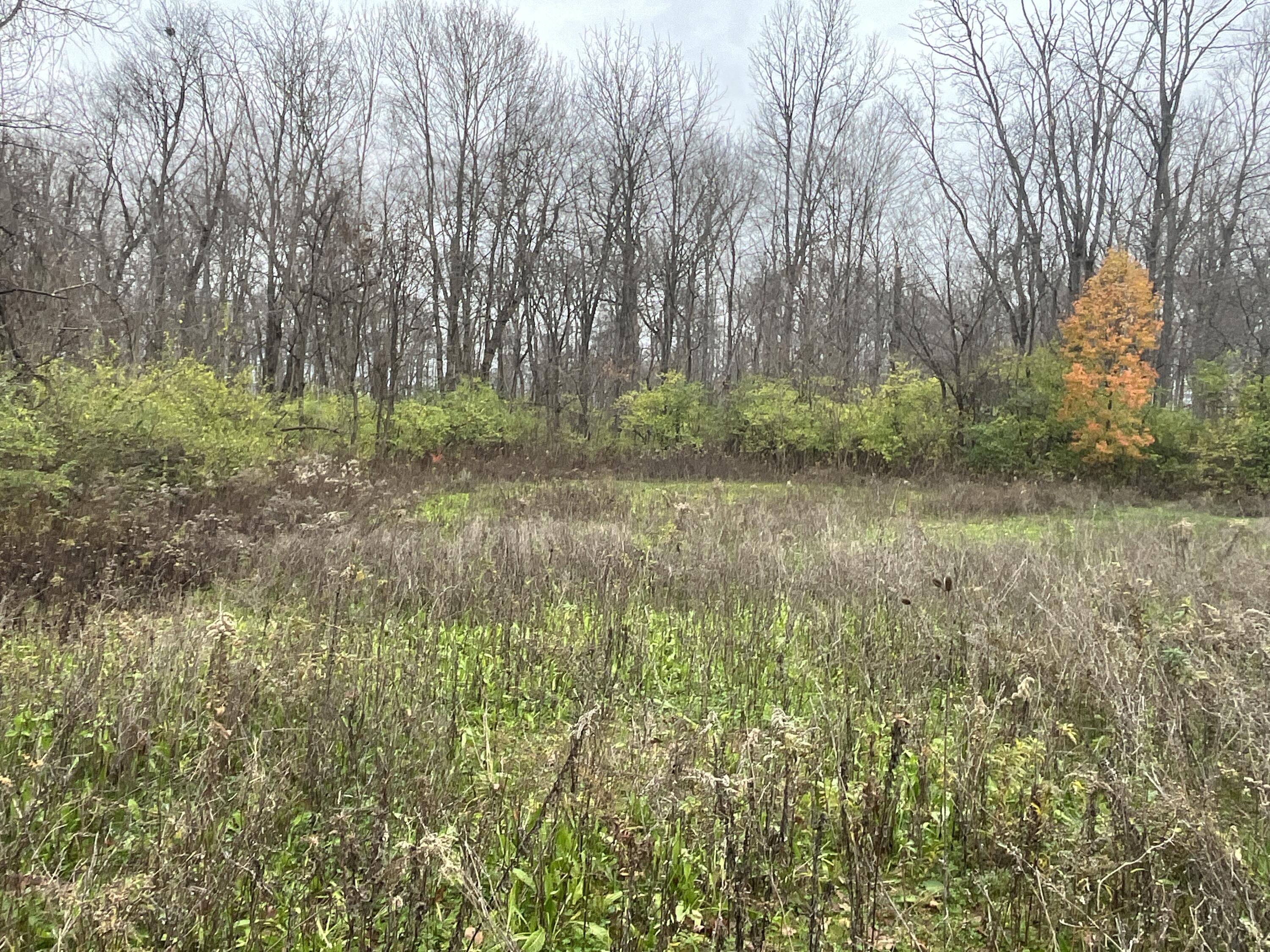 9237 Dog Leg Road, Dayton, Ohio 45414