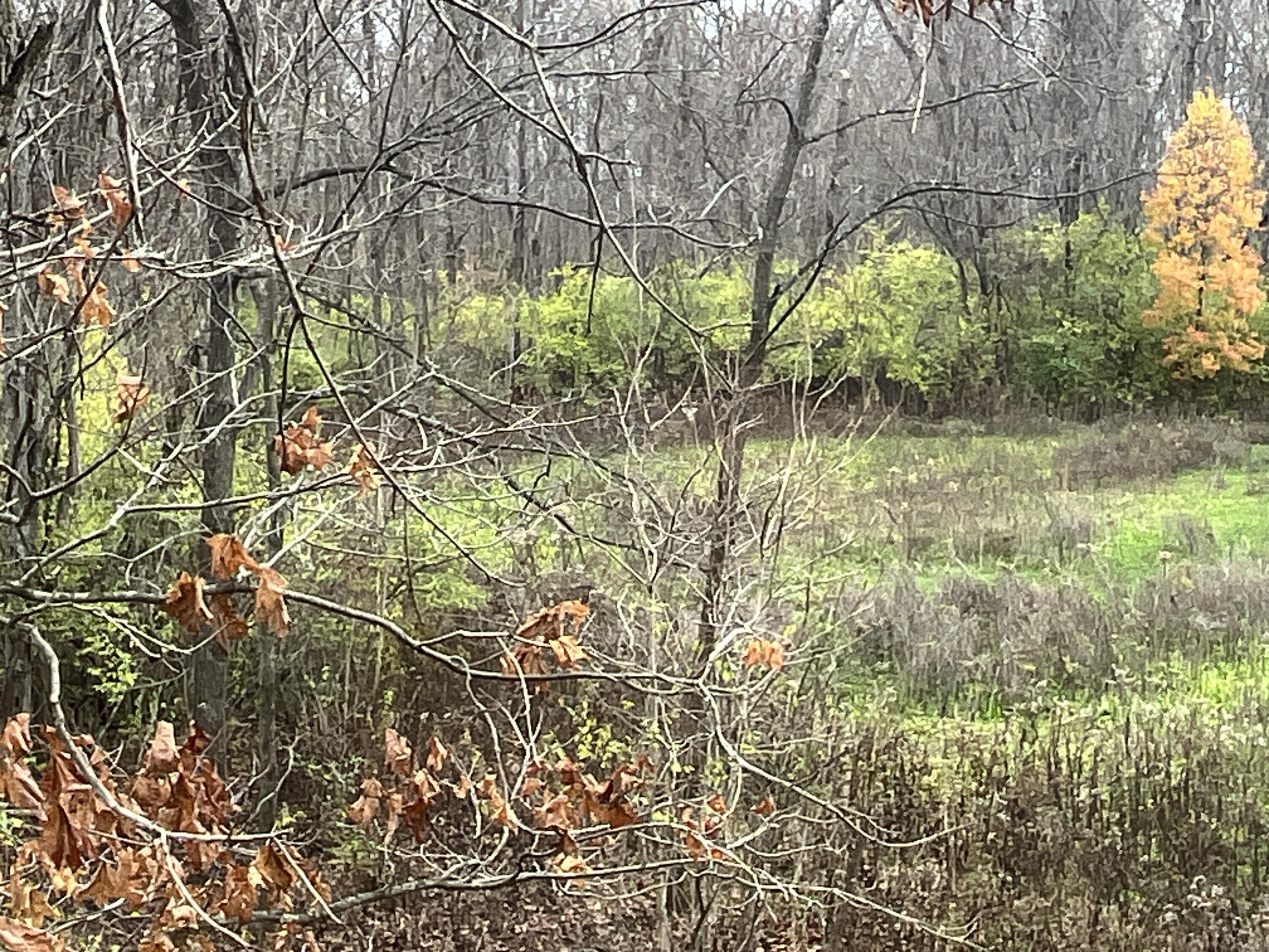 9237 Dog Leg Road, Dayton, Ohio 45414