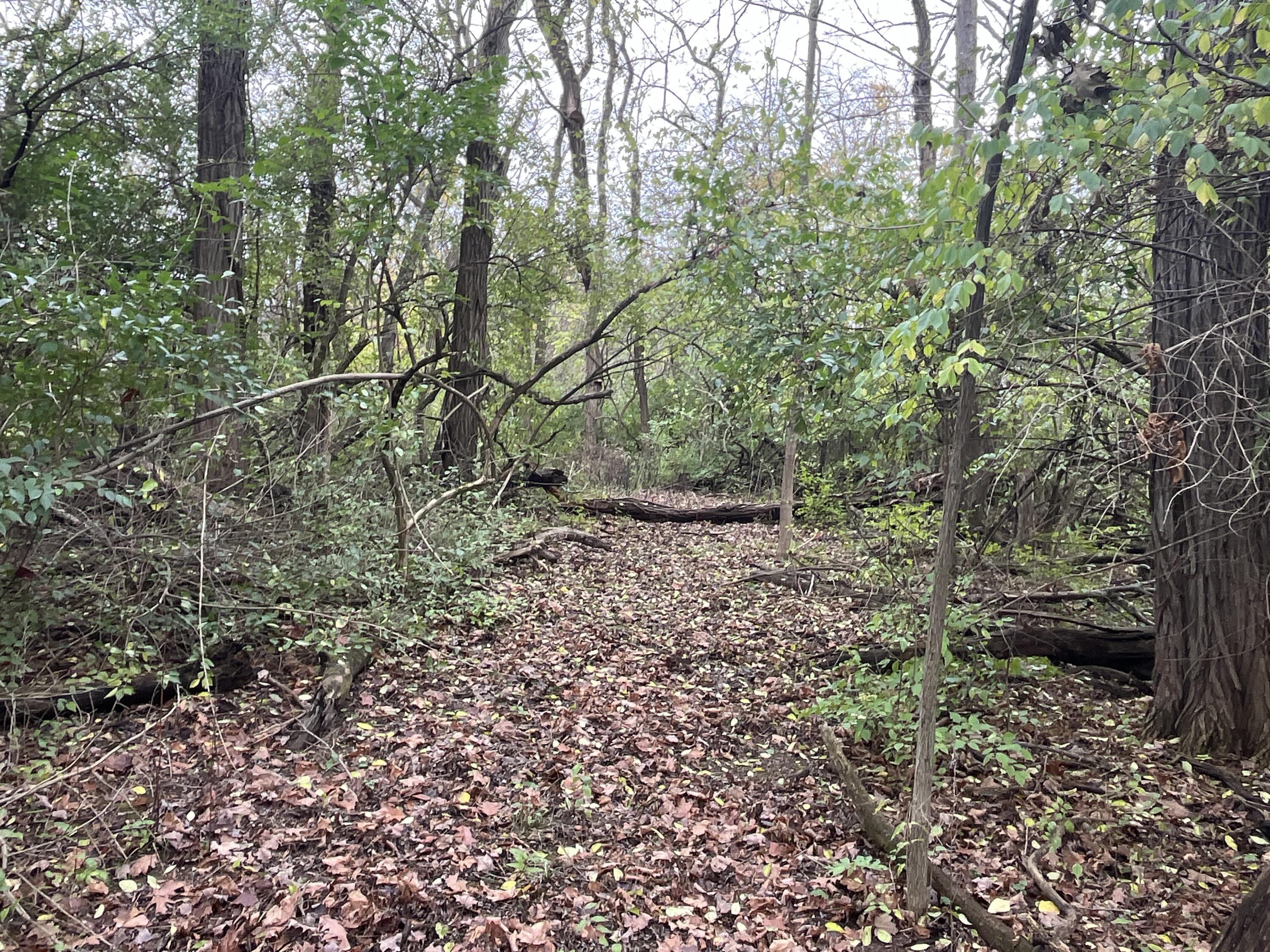 9237 Dog Leg Road, Dayton, Ohio 45414