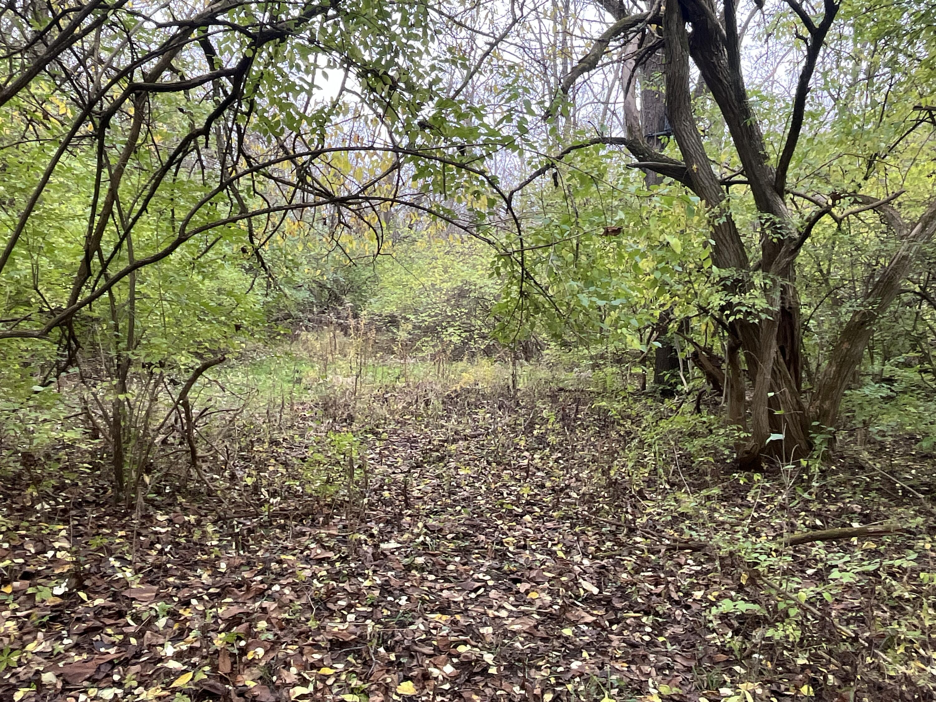 9237 Dog Leg Road, Dayton, Ohio 45414