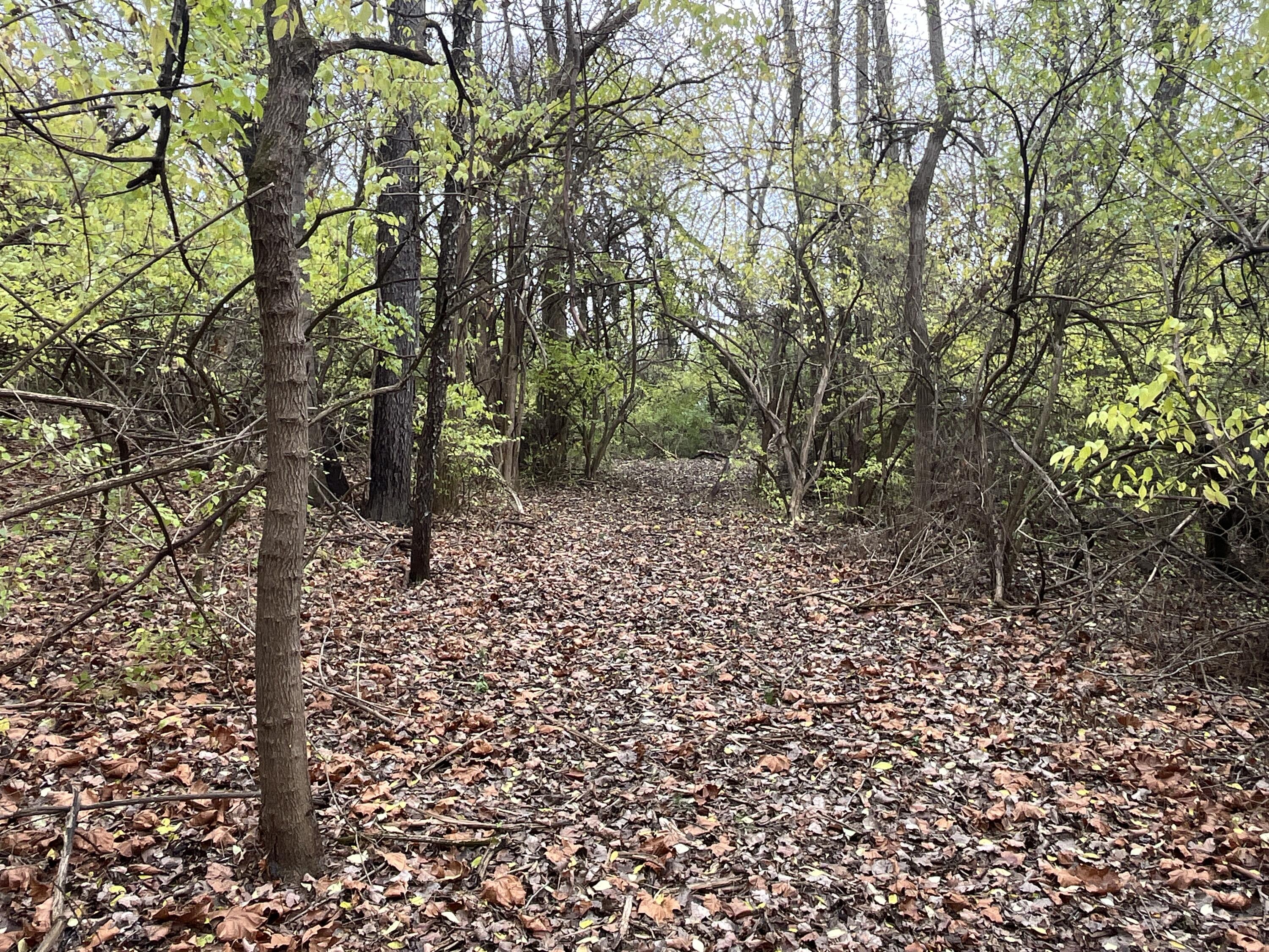 9237 Dog Leg Road, Dayton, Ohio 45414