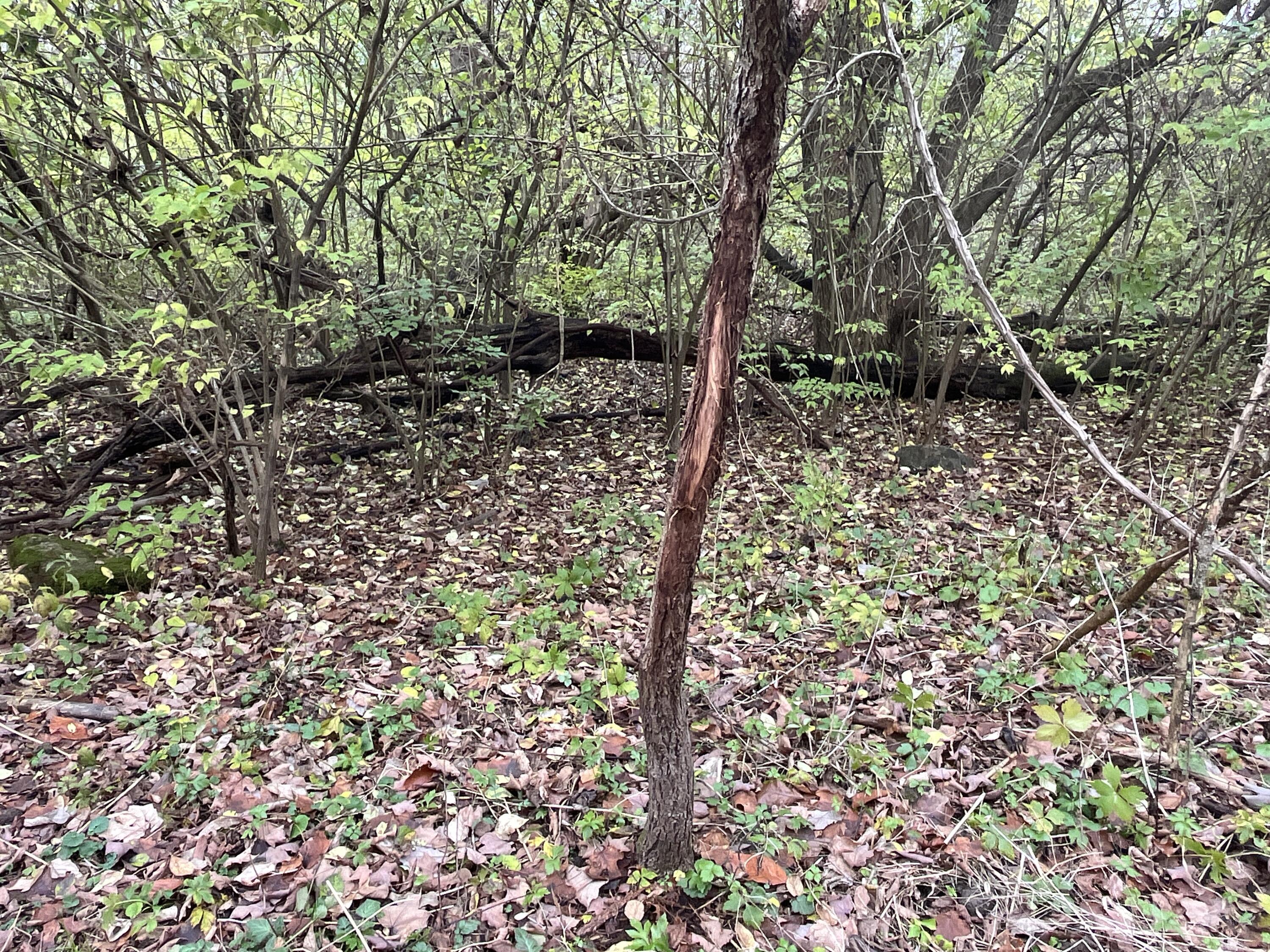 9237 Dog Leg Road, Dayton, Ohio 45414