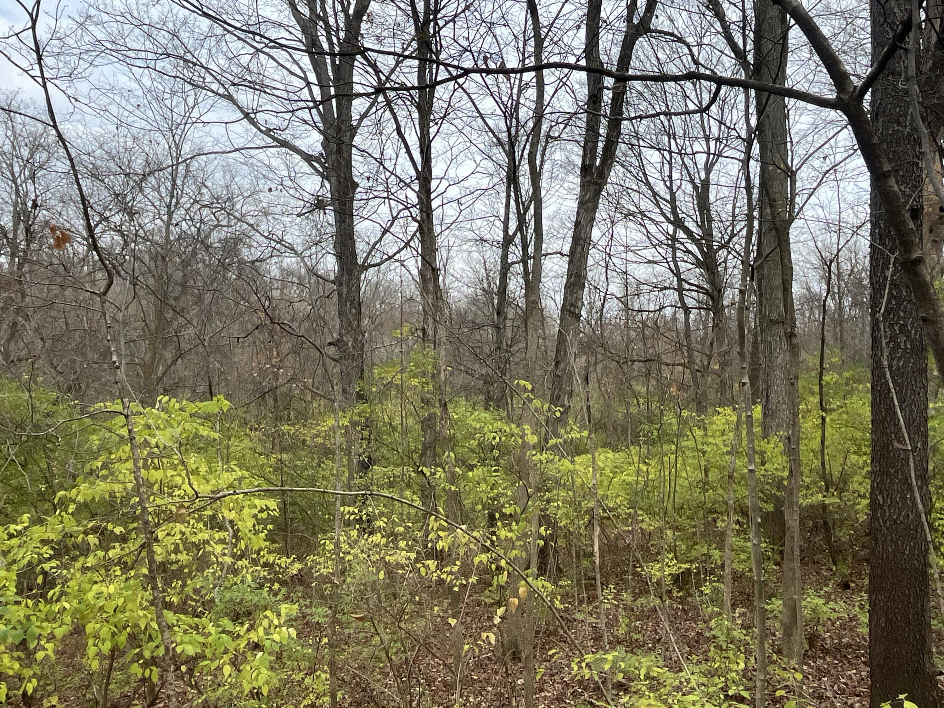 9237 Dog Leg Road, Dayton, Ohio 45414