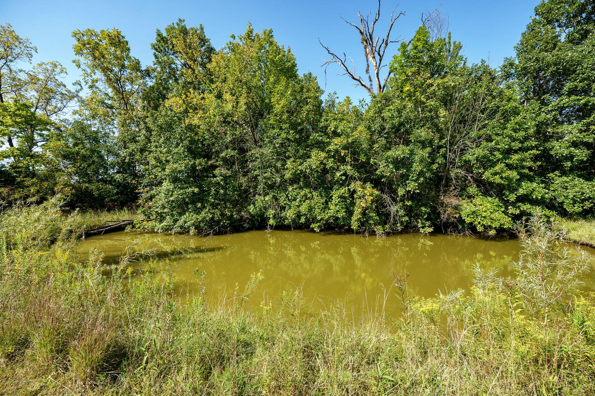 39 Bird Road, Springfield, Ohio 45505