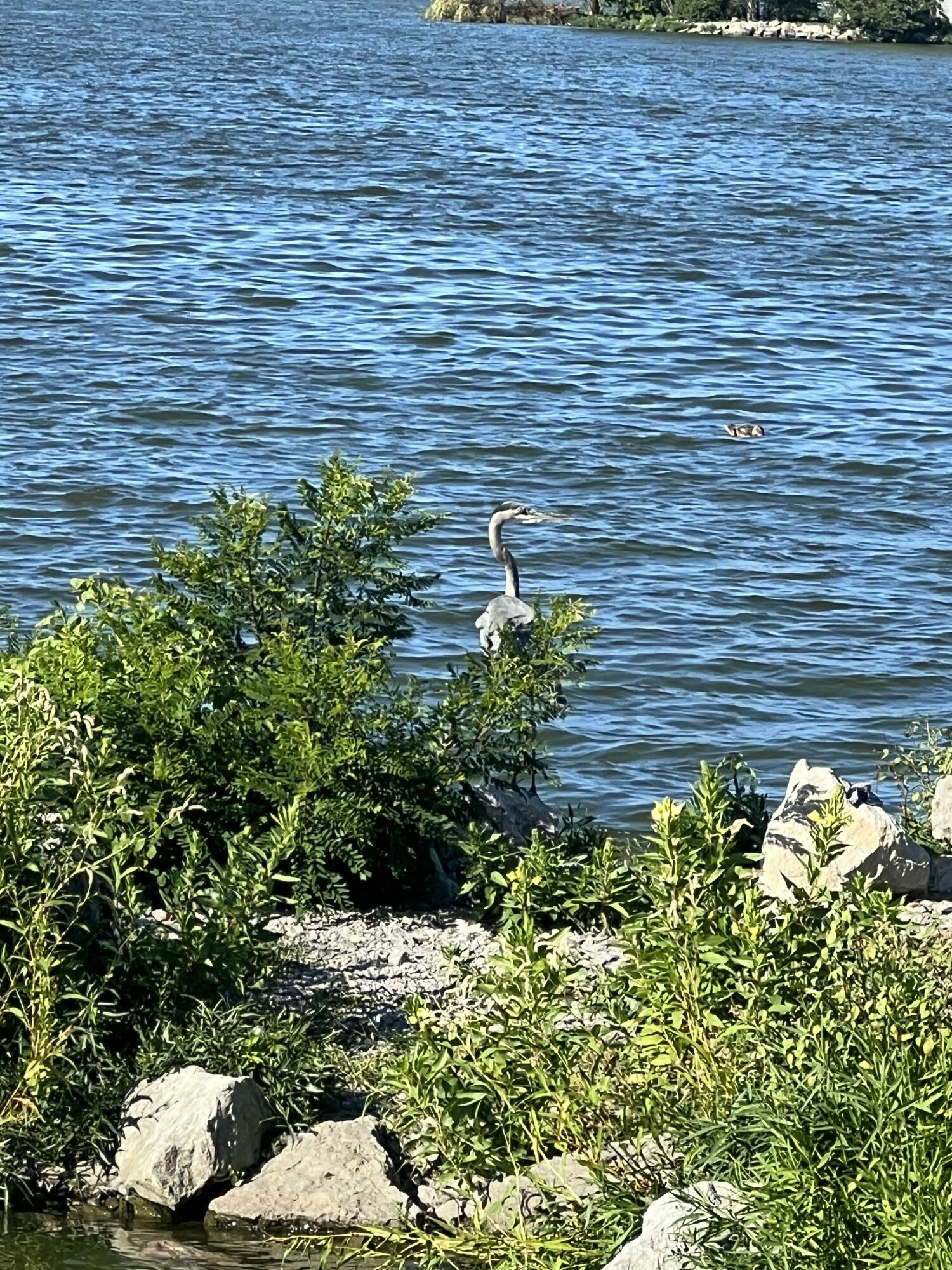 8312 Ohio 366, Russells Point, Ohio 43348