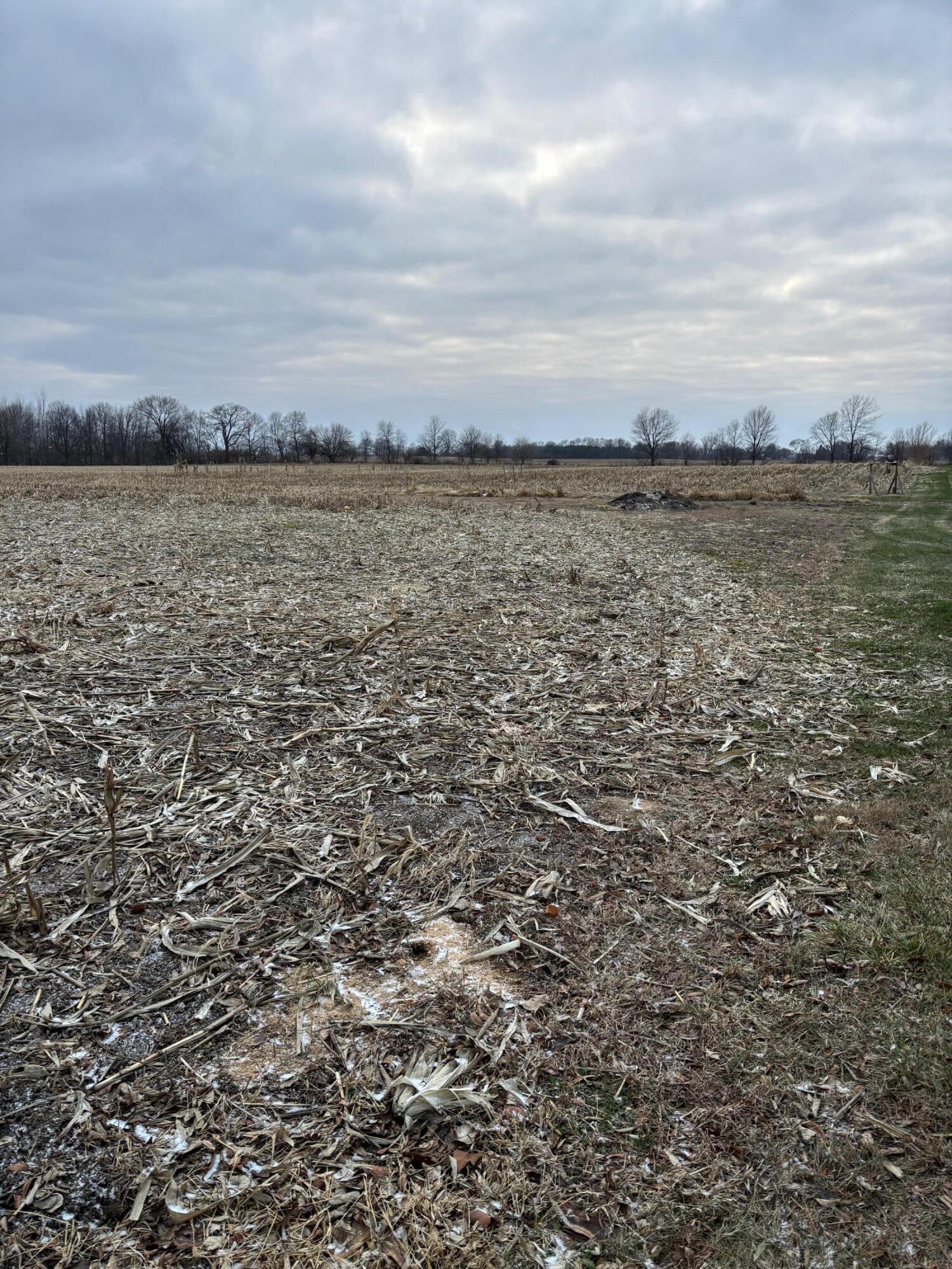 7710 Bollinger Road, Conover, Ohio 45317