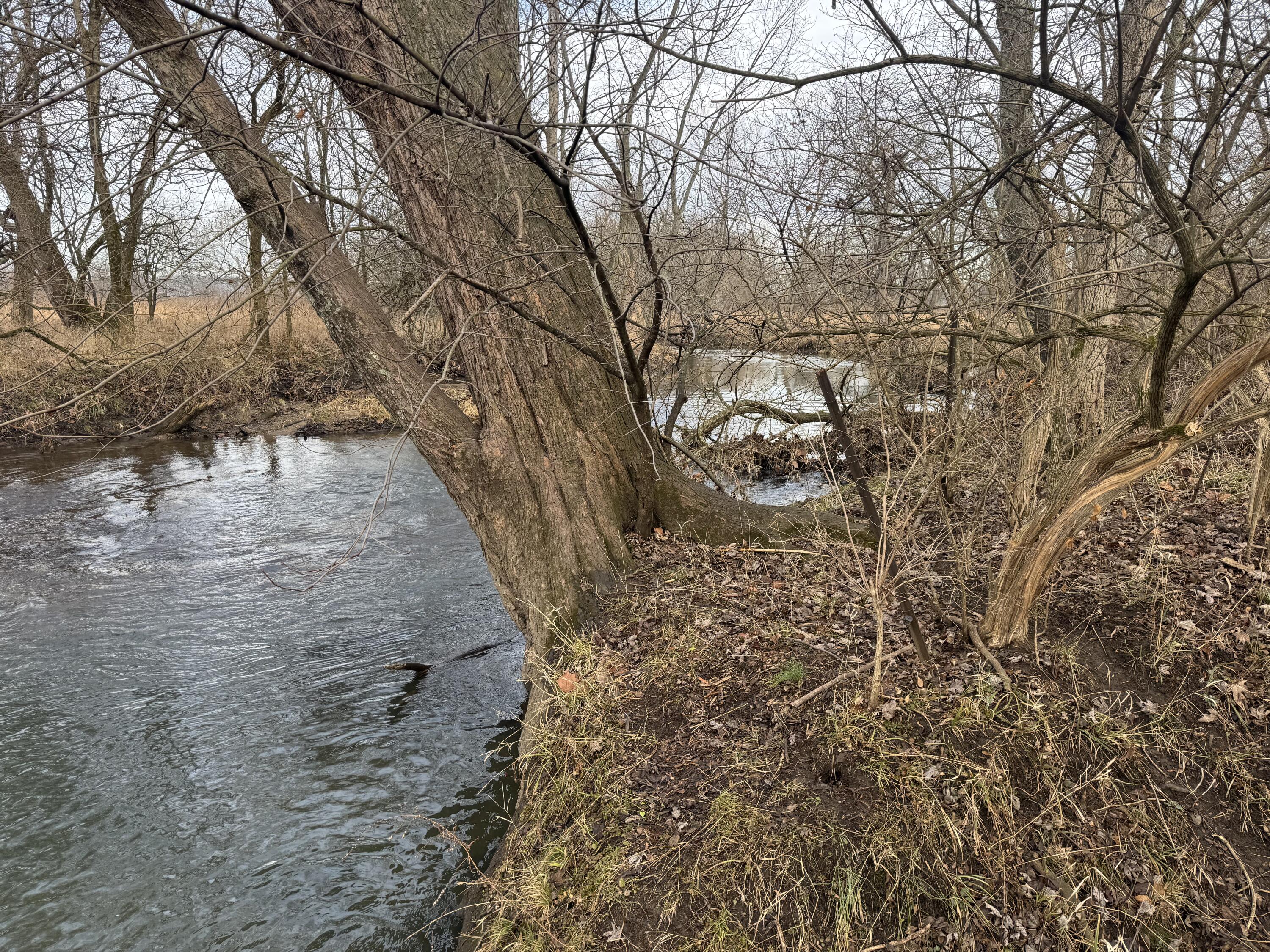 1460 River Road, Yellow Springs, Ohio 45387