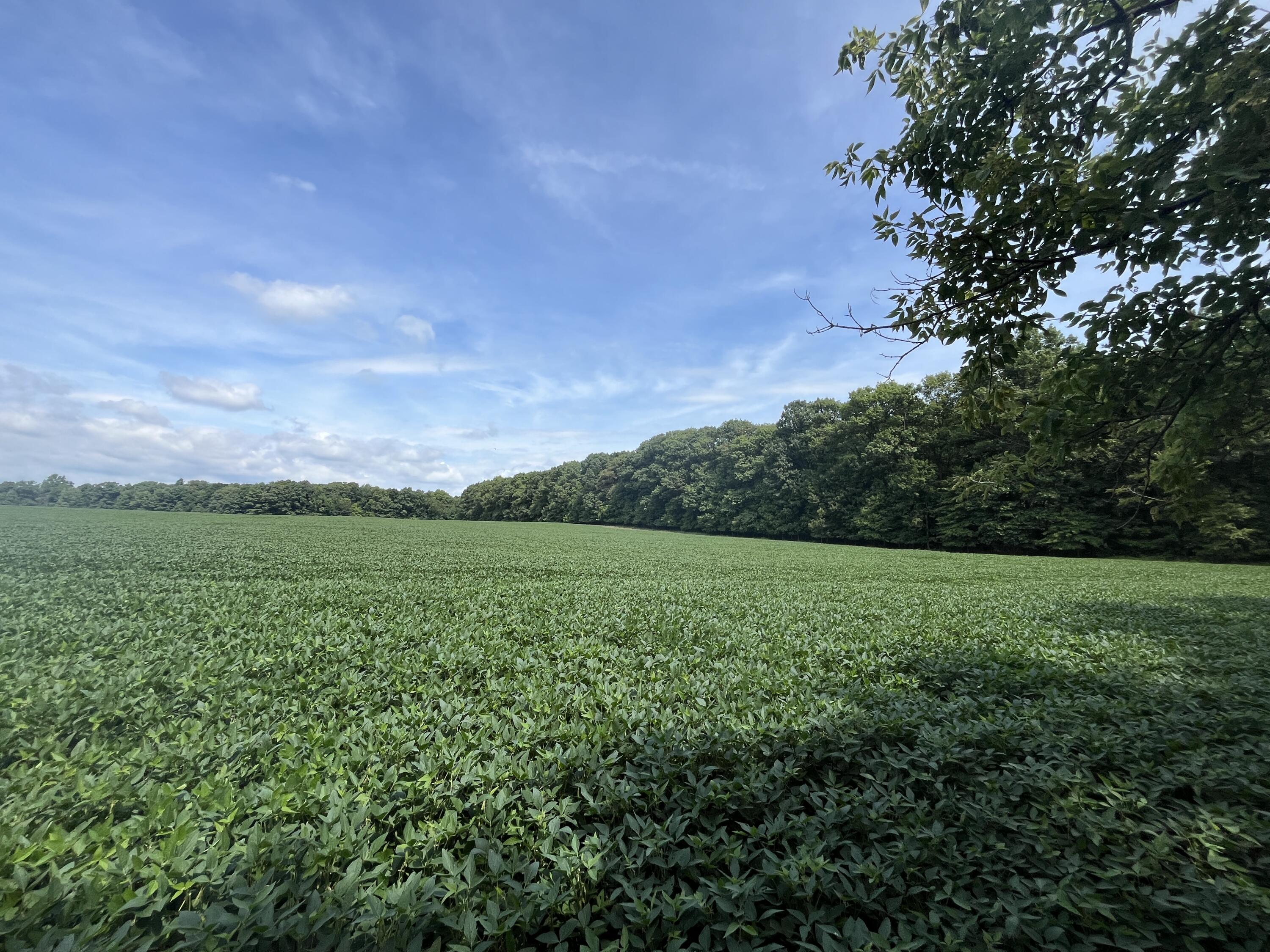 0 Raymond Road, Marysville, Ohio 43040