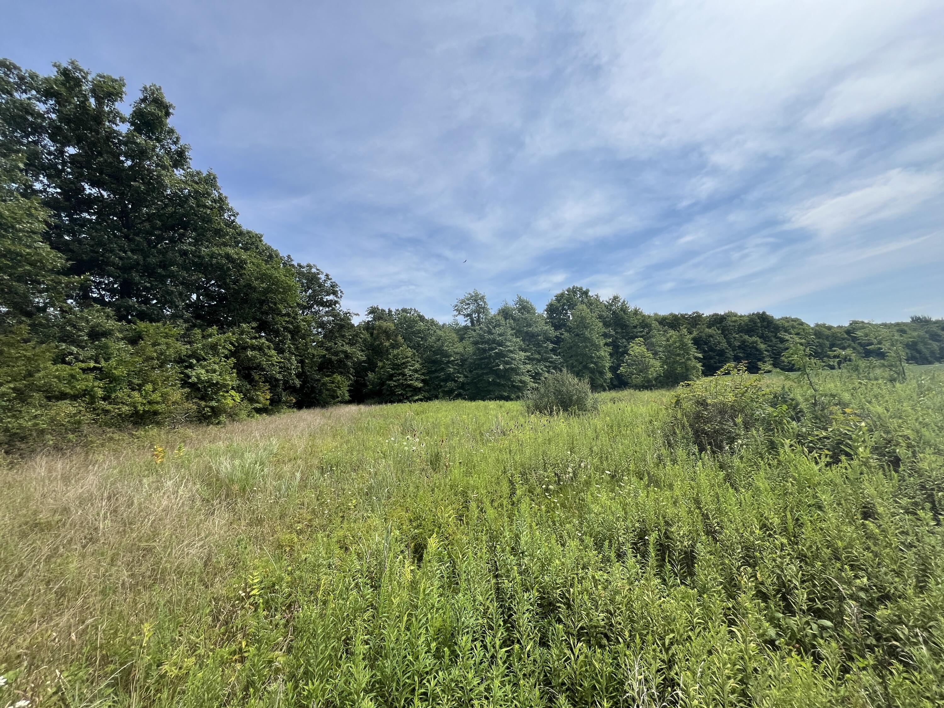 0 Raymond Road, Marysville, Ohio 43040