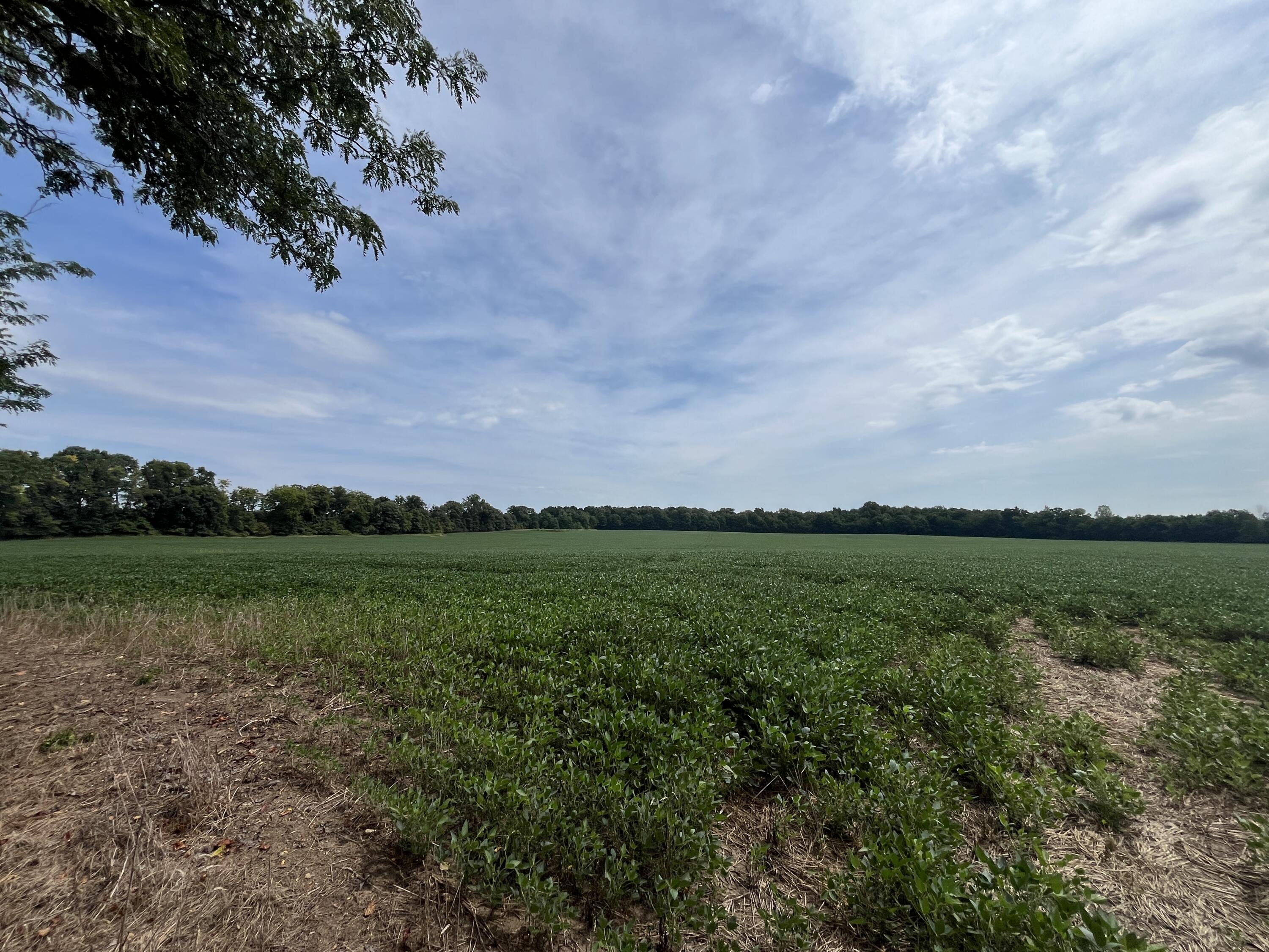 0 Raymond Road, Marysville, Ohio 43040