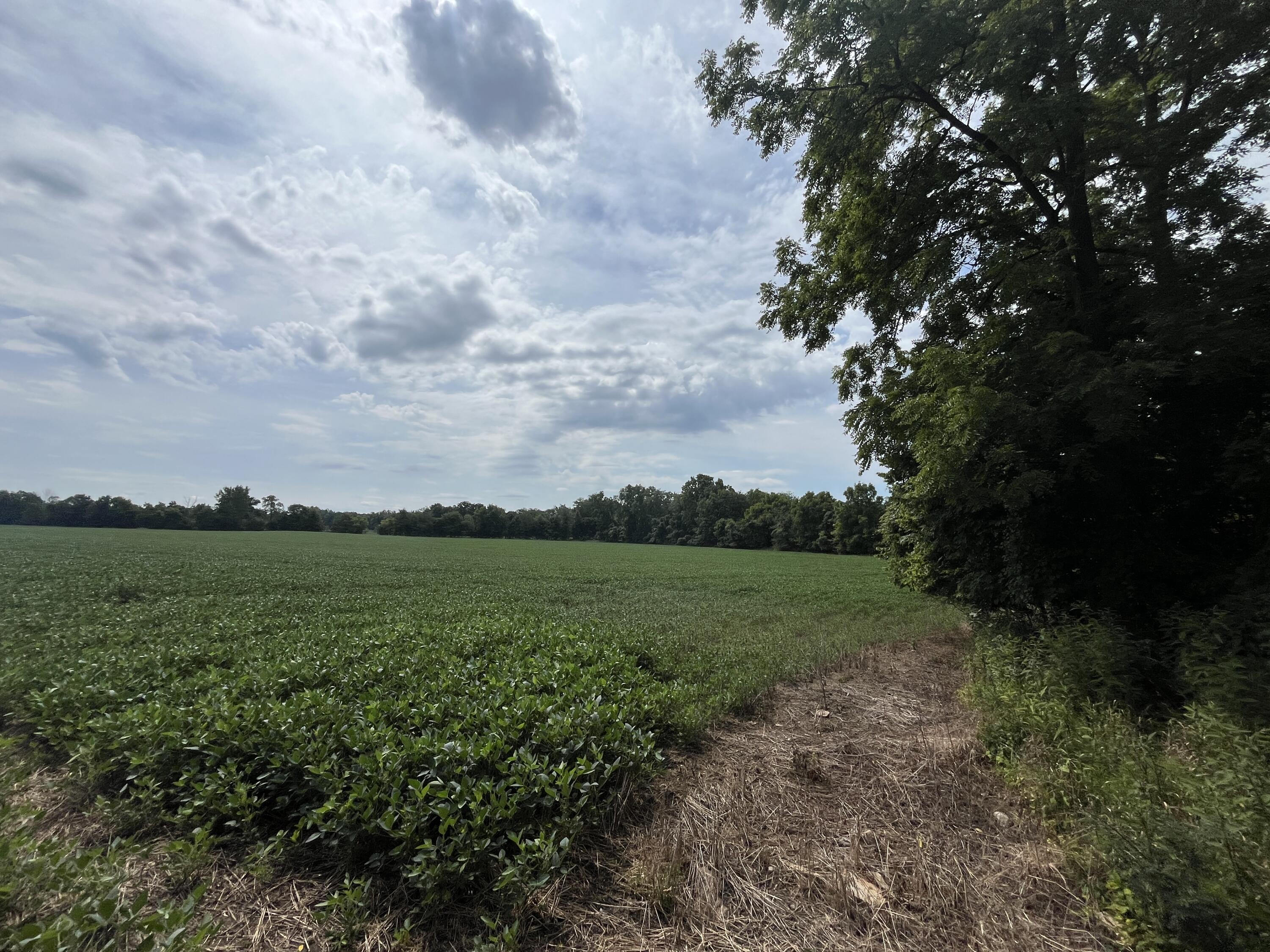 0 Raymond Road, Marysville, Ohio 43040