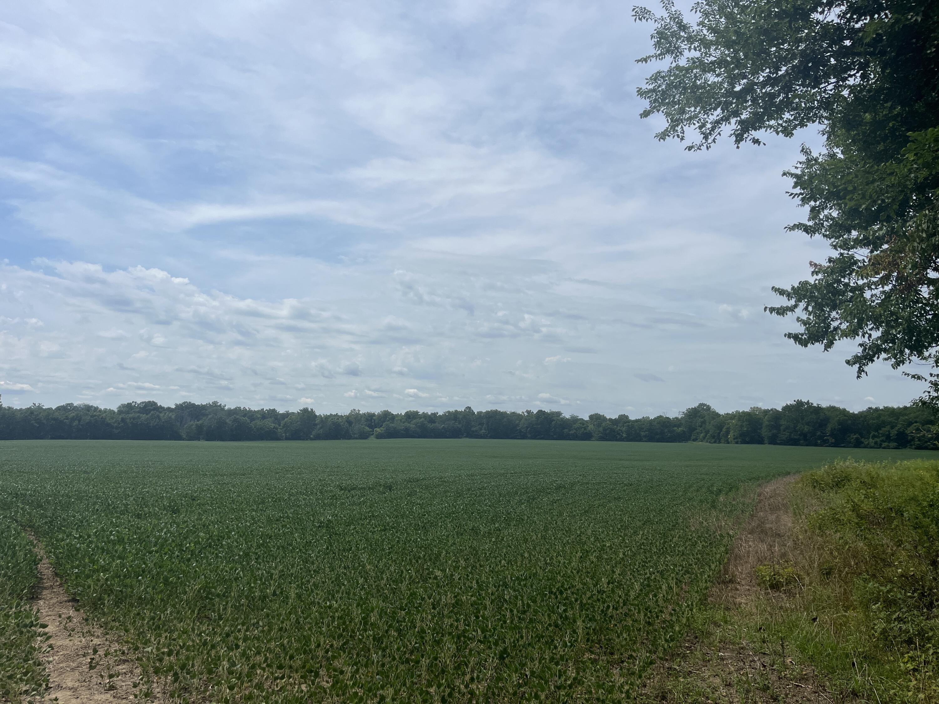 0 Raymond Road, Marysville, Ohio 43040