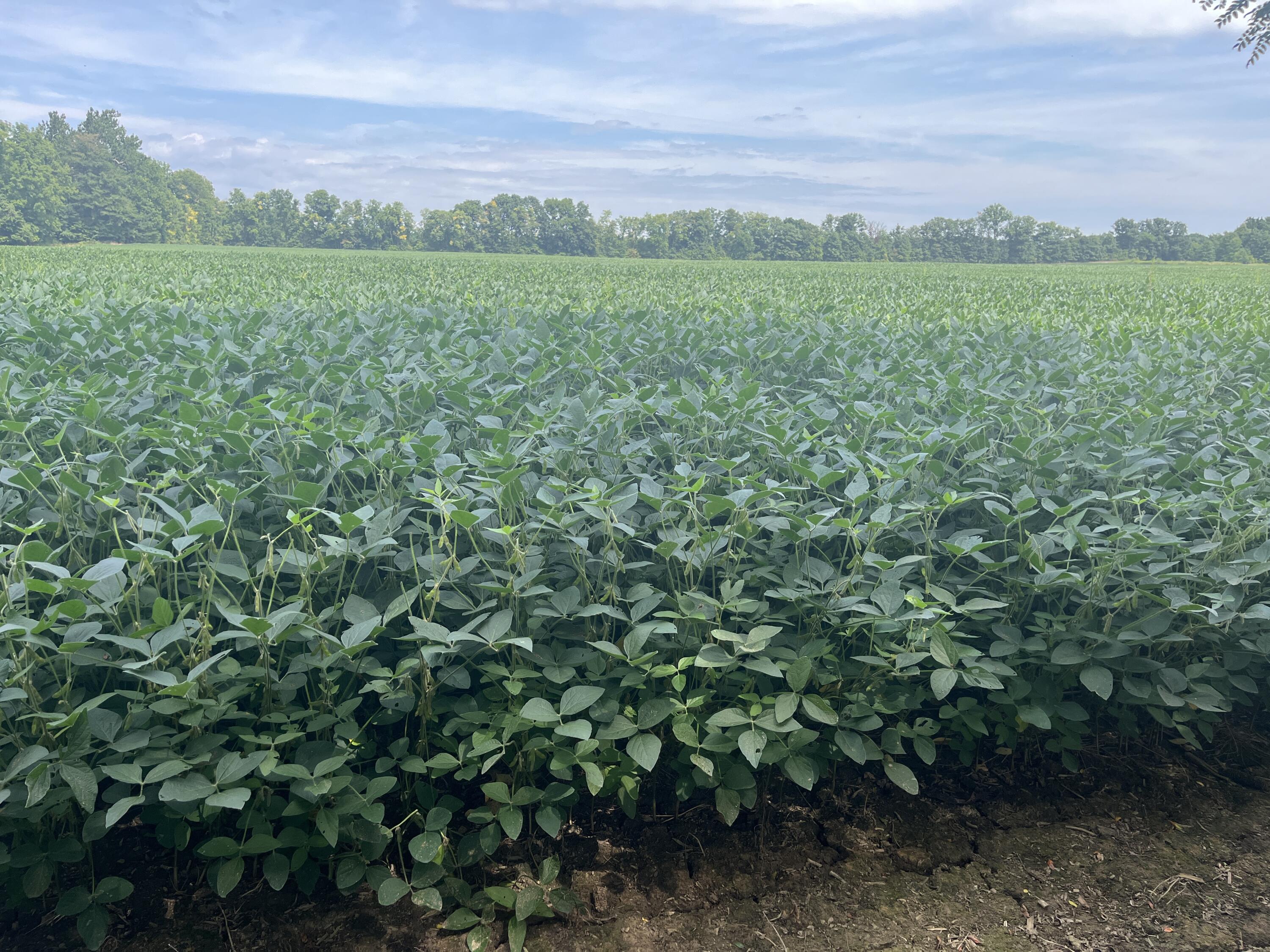 0 Raymond Road, Marysville, Ohio 43040