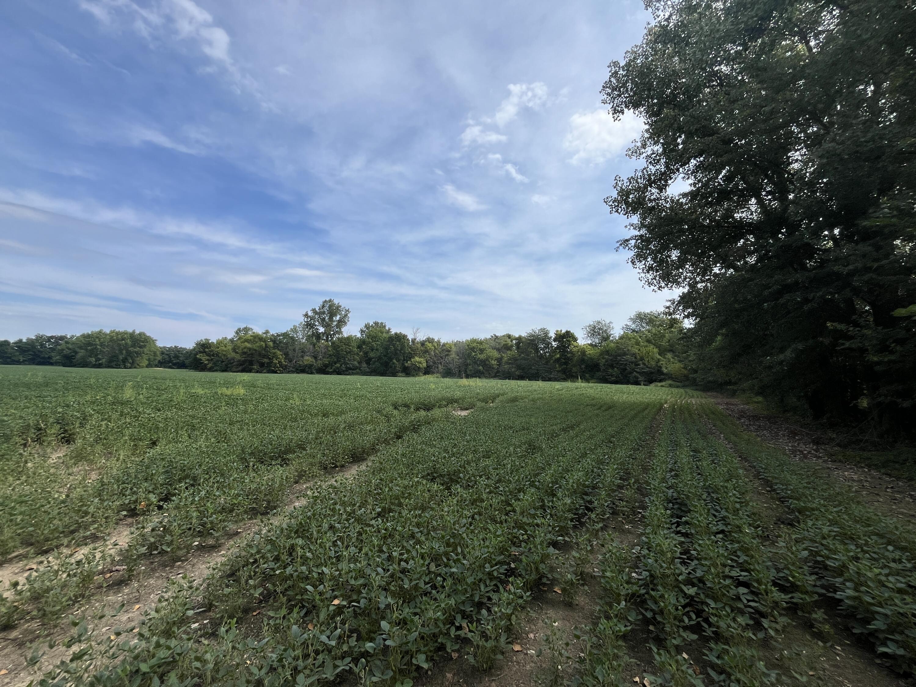 0 Raymond Road, Marysville, Ohio 43040