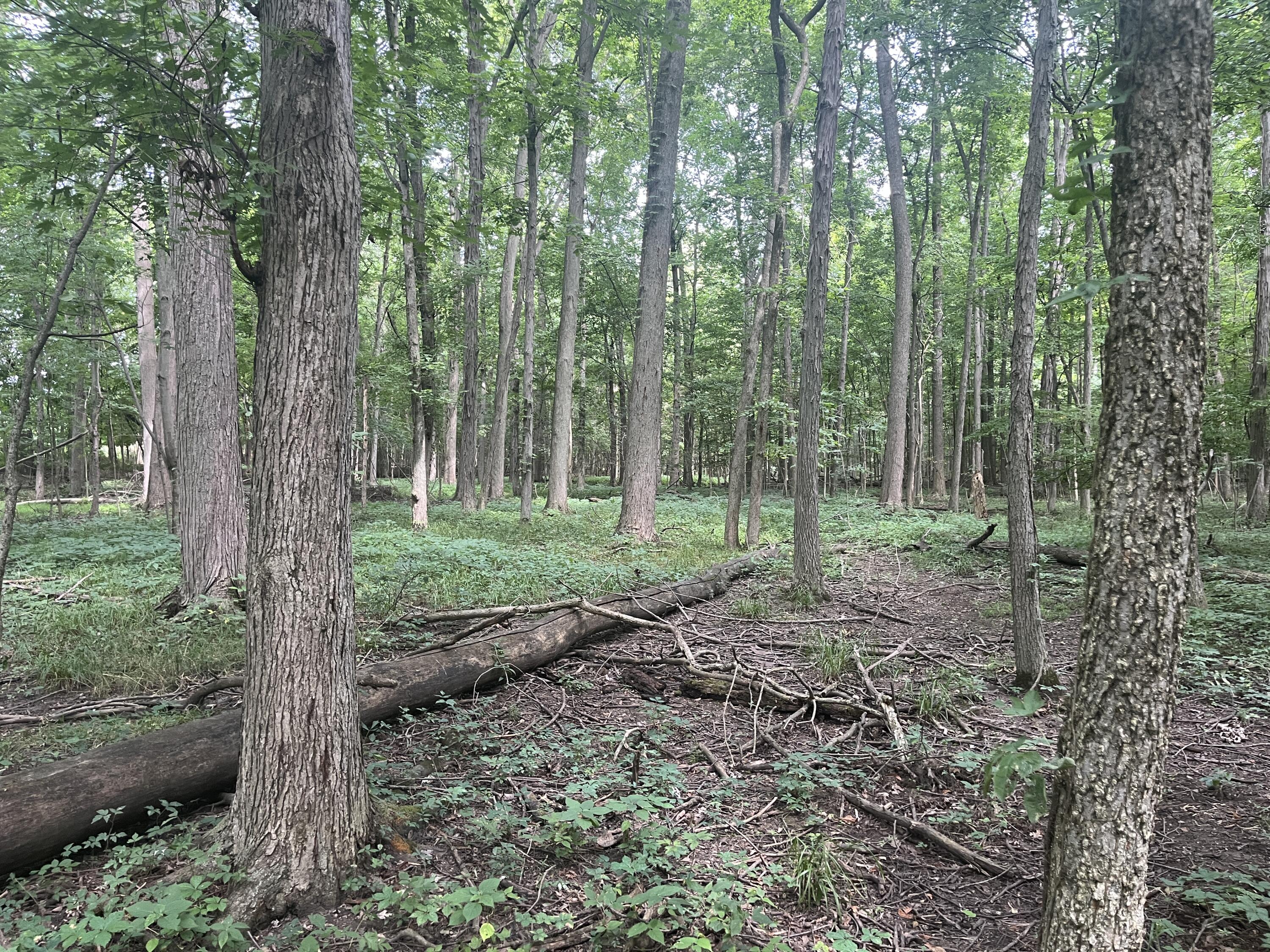 0 Raymond Road, Marysville, Ohio 43040