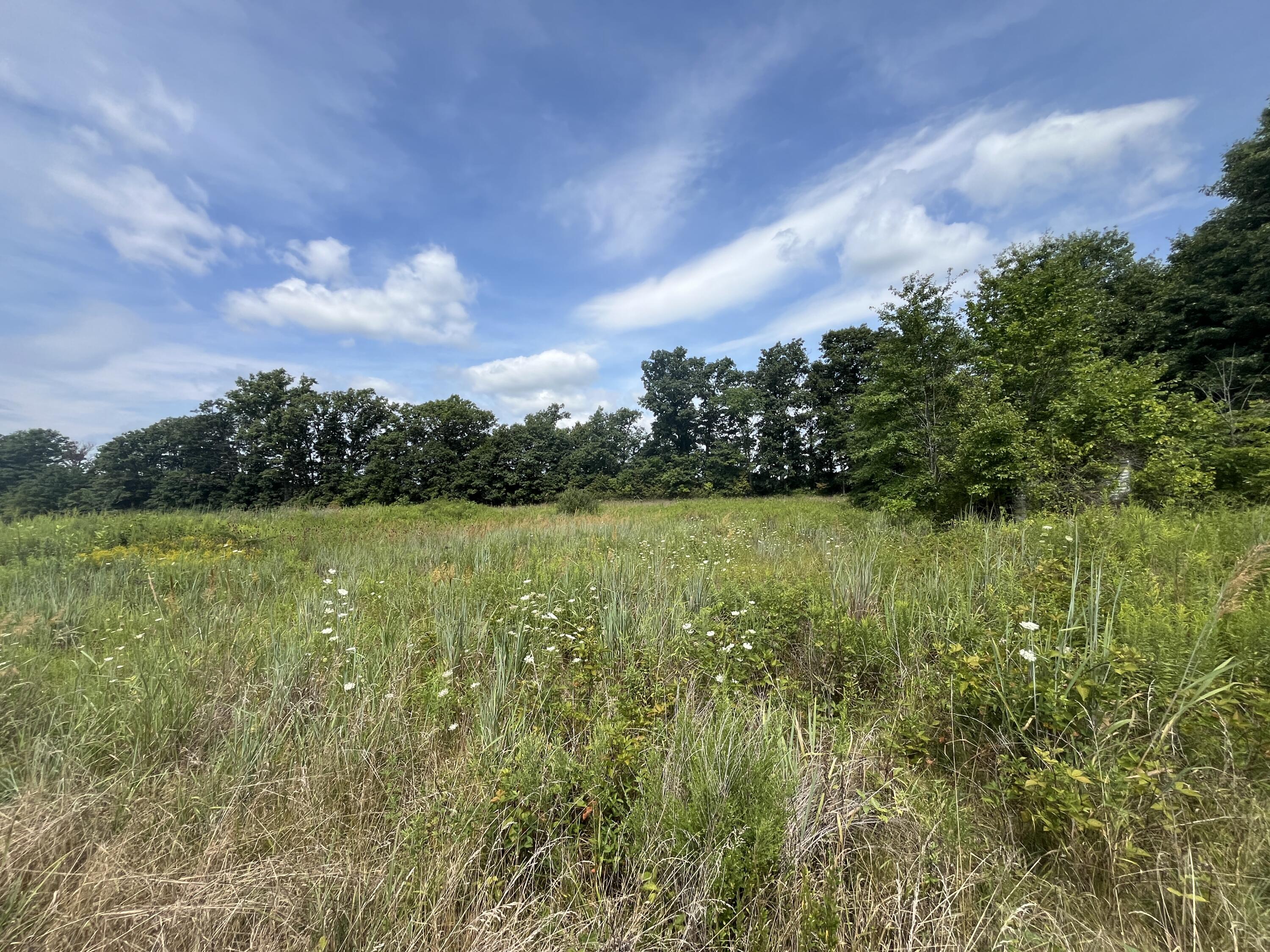 0 Raymond Road, Marysville, Ohio 43040