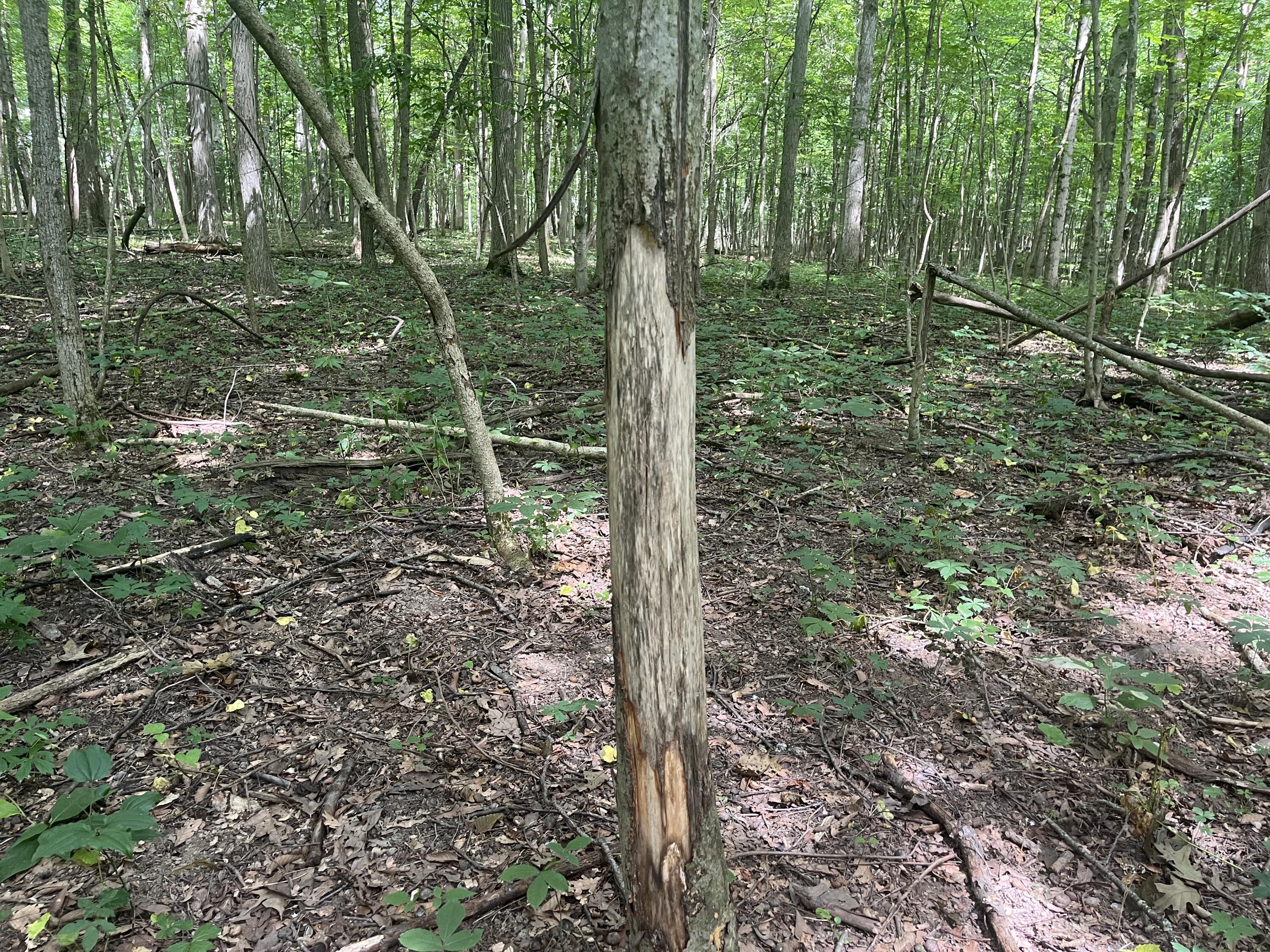 0 Raymond Road, Marysville, Ohio 43040