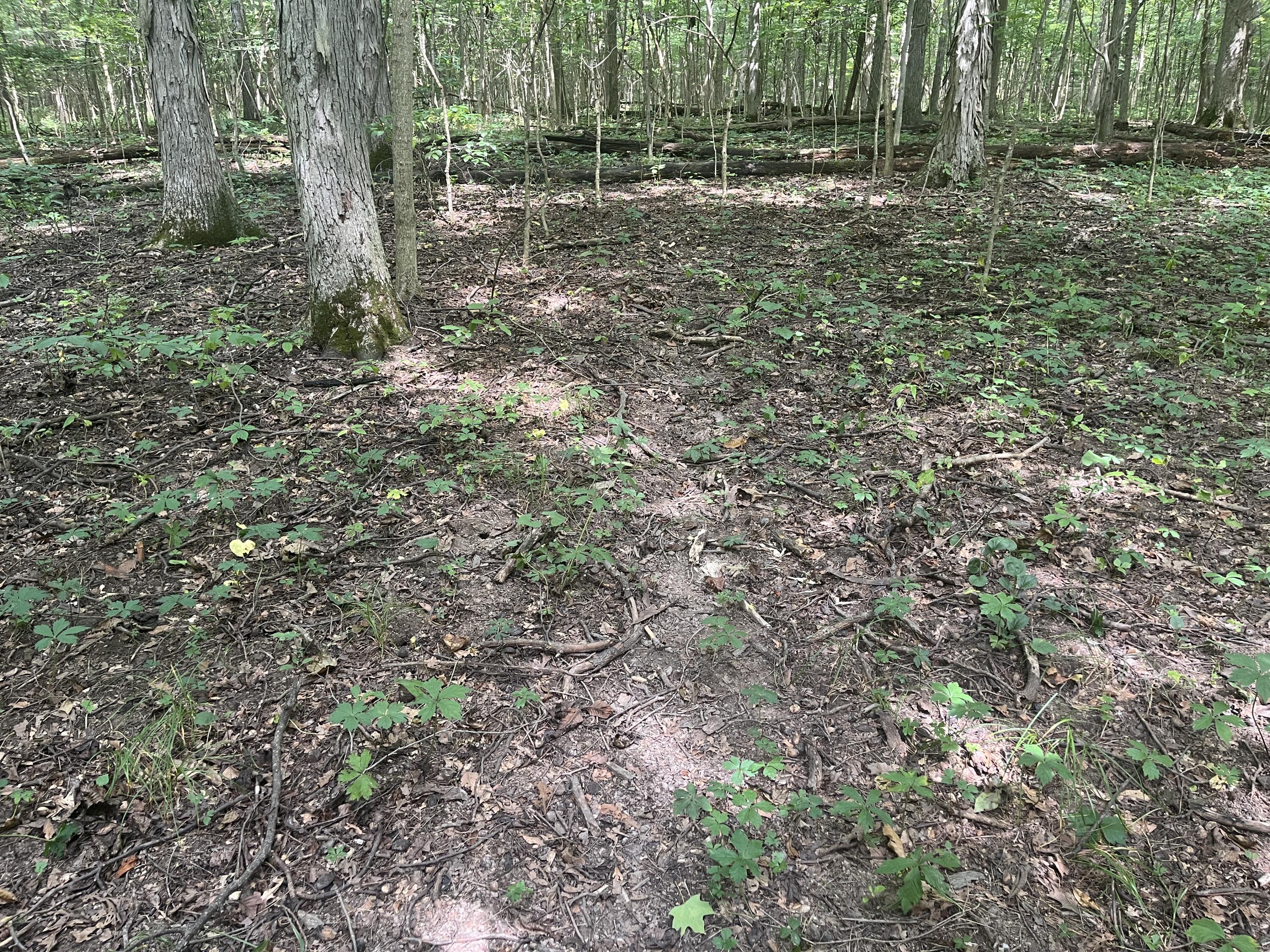 0 Raymond Road, Marysville, Ohio 43040