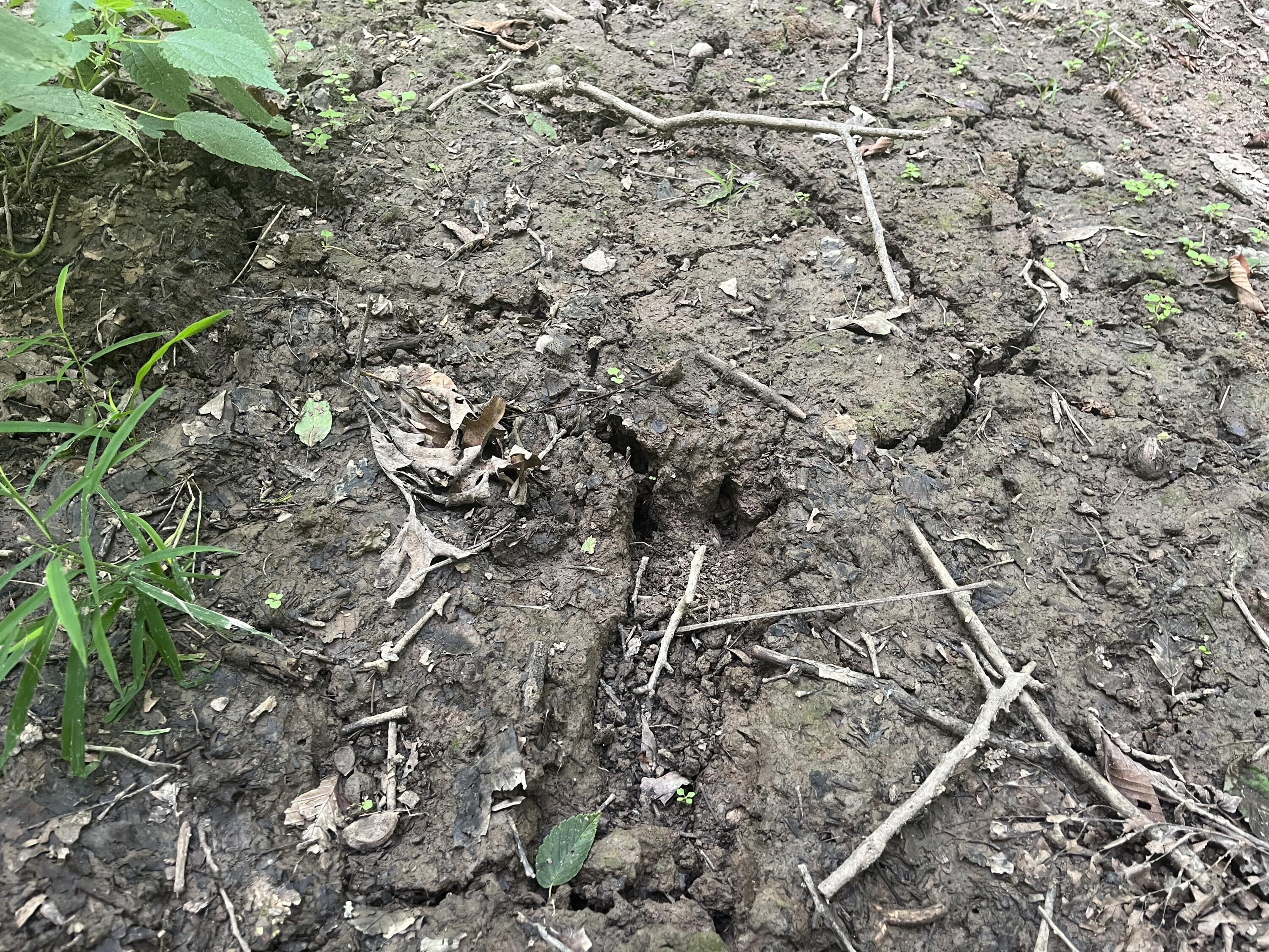 0 Raymond Road, Marysville, Ohio 43040