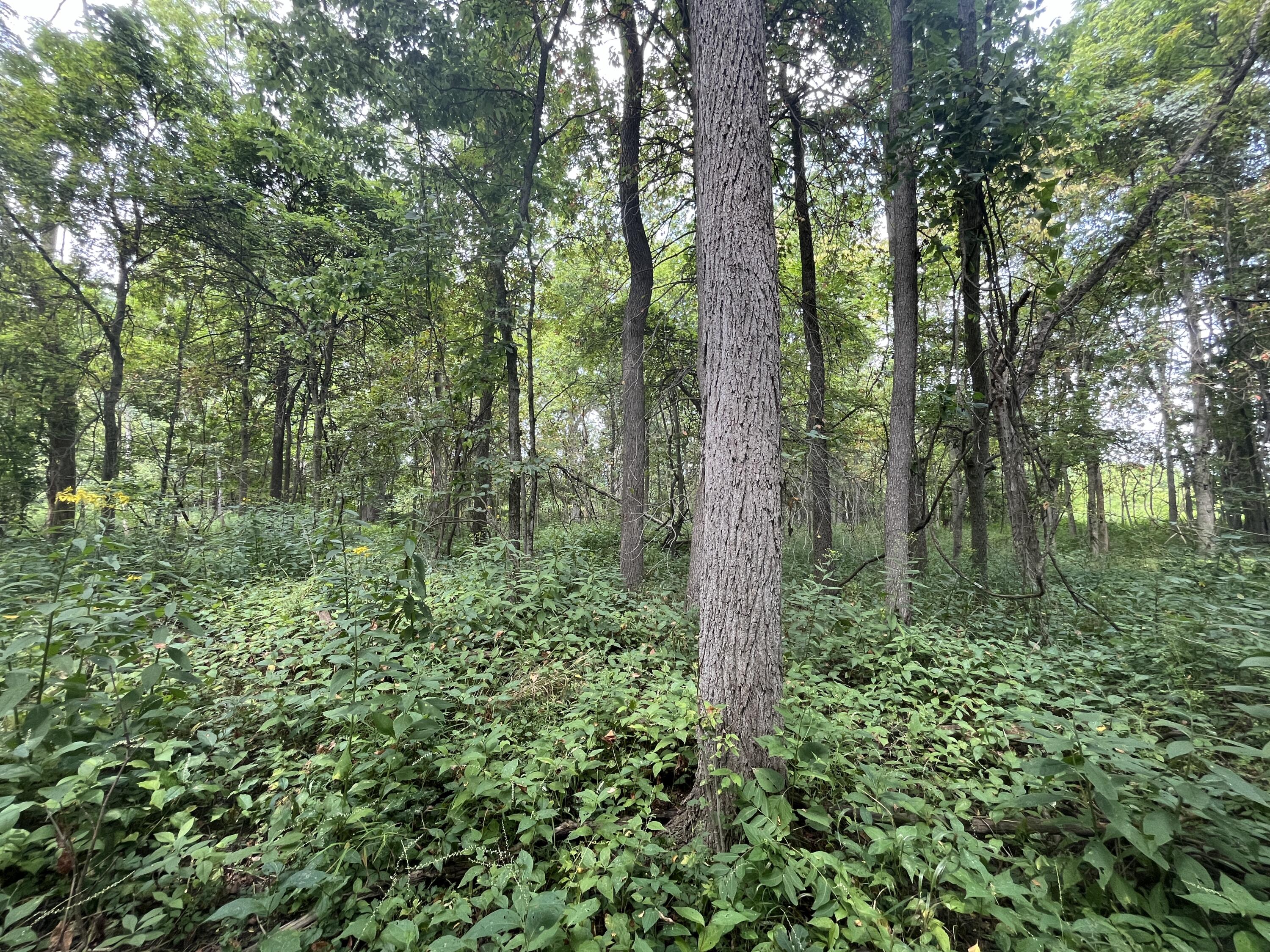 0 Raymond Road, Marysville, Ohio 43040