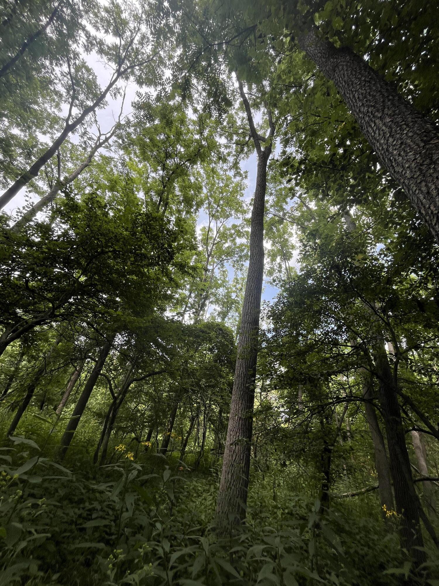 0 Raymond Road, Marysville, Ohio 43040