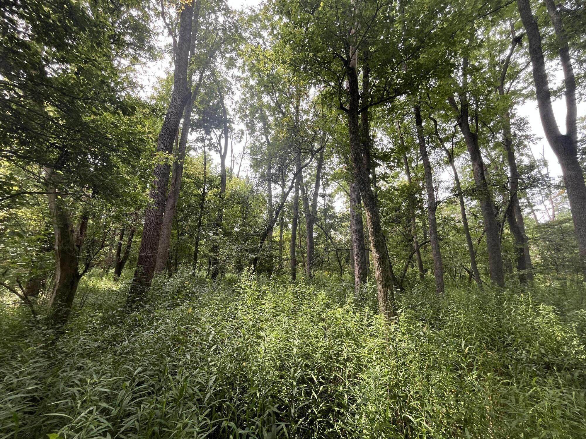 0 Raymond Road, Marysville, Ohio 43040