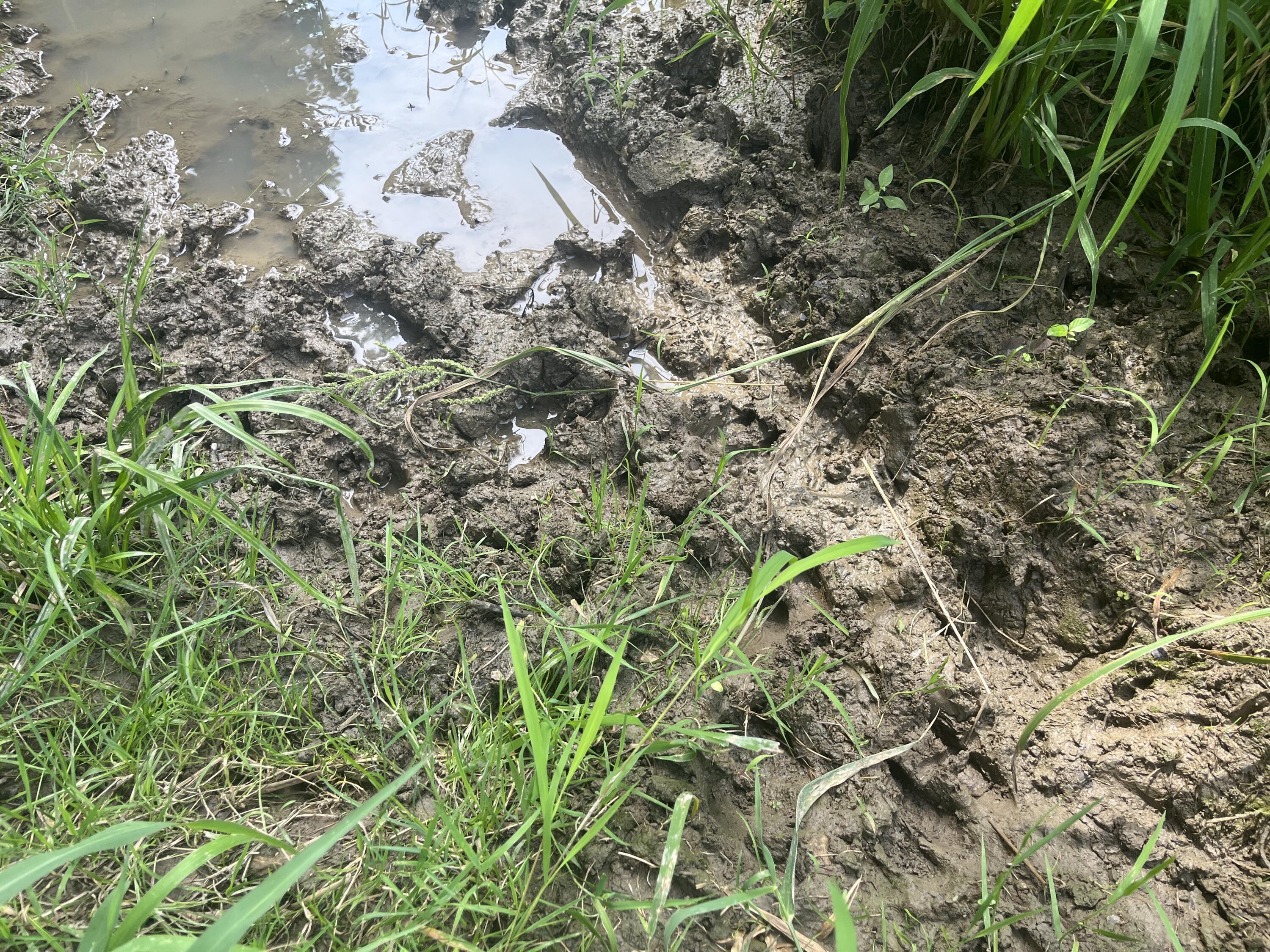 0 Raymond Road, Marysville, Ohio 43040