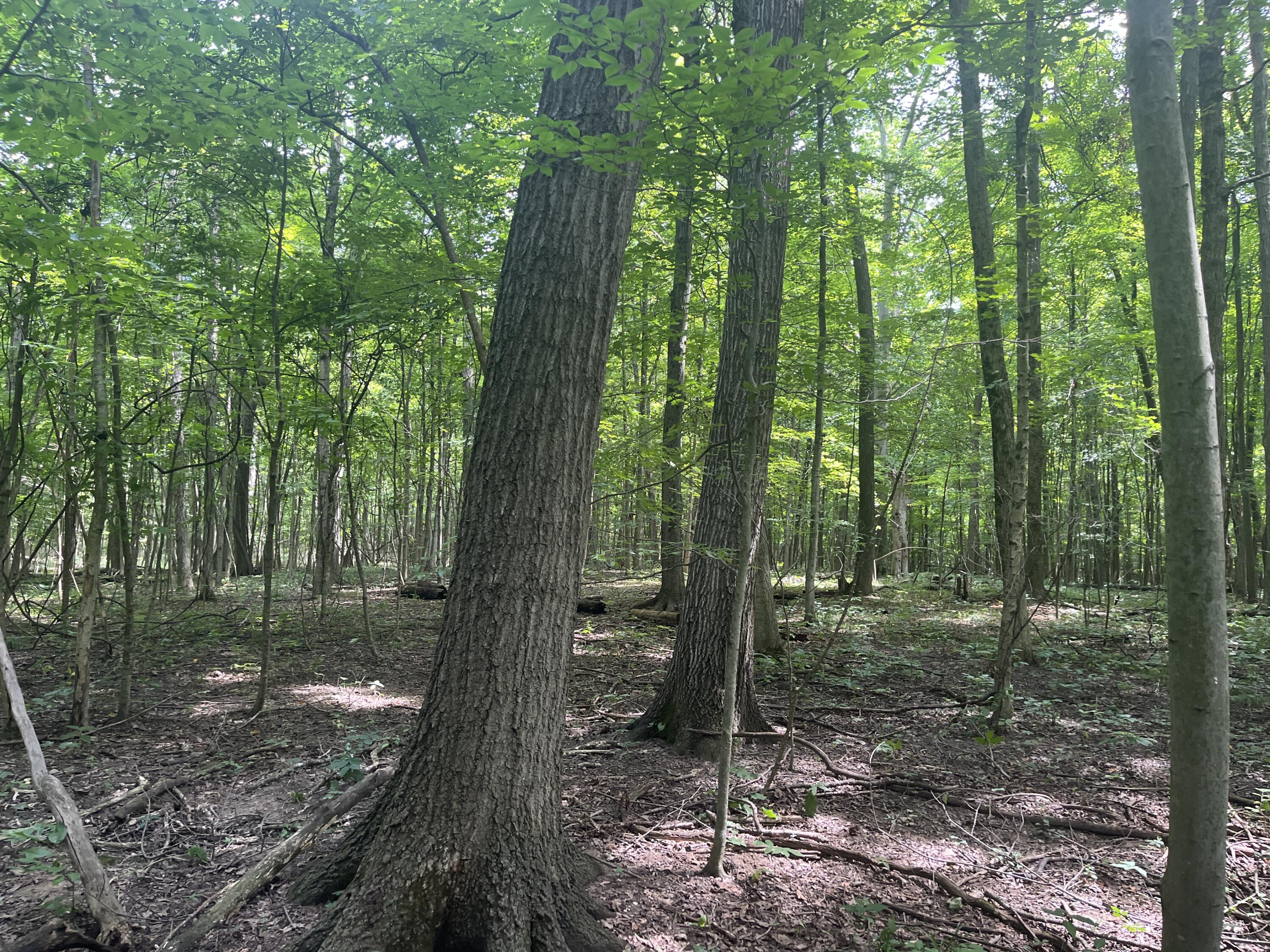 0 Raymond Road, Marysville, Ohio 43040