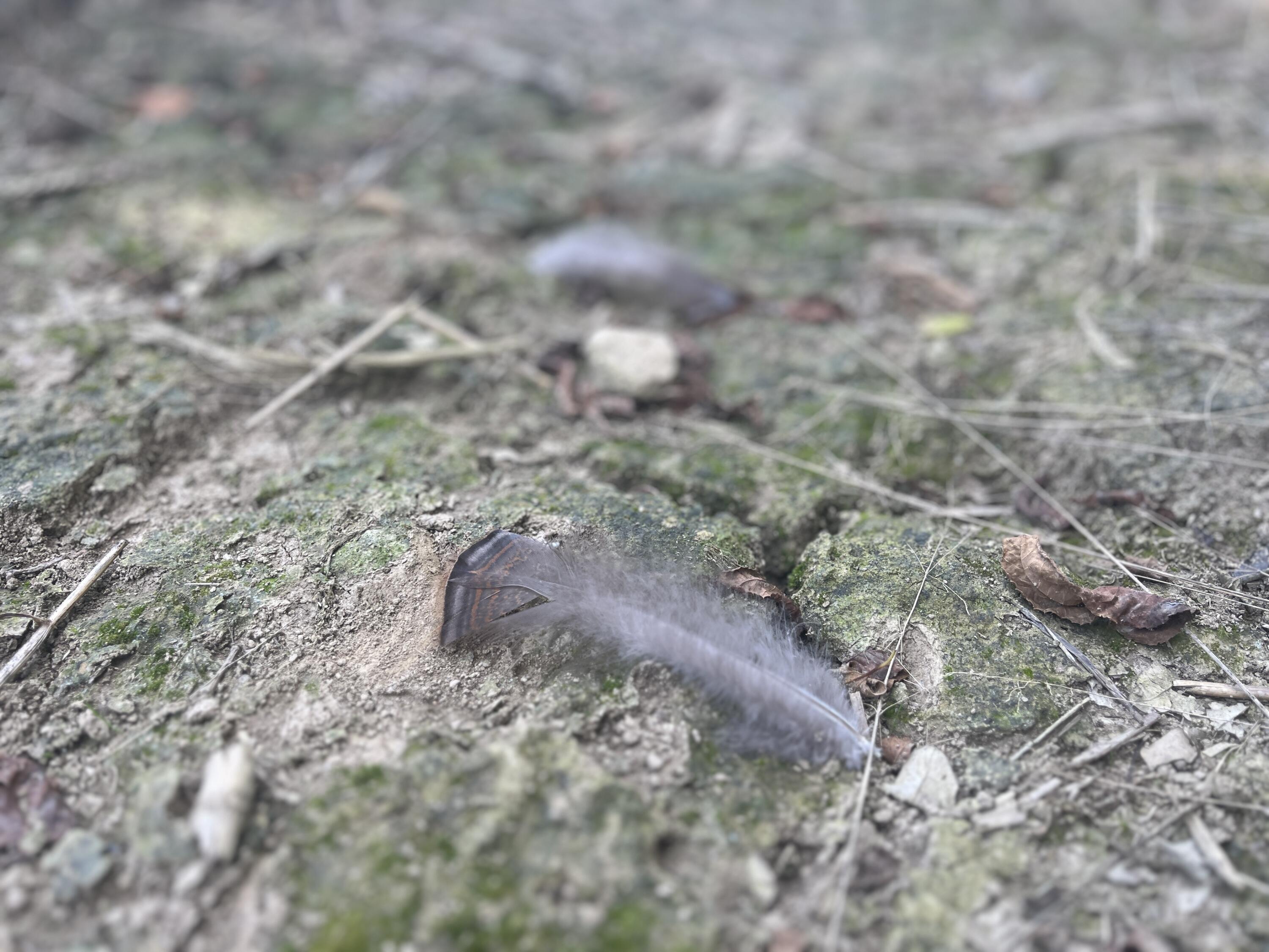 0 Raymond Road, Marysville, Ohio 43040