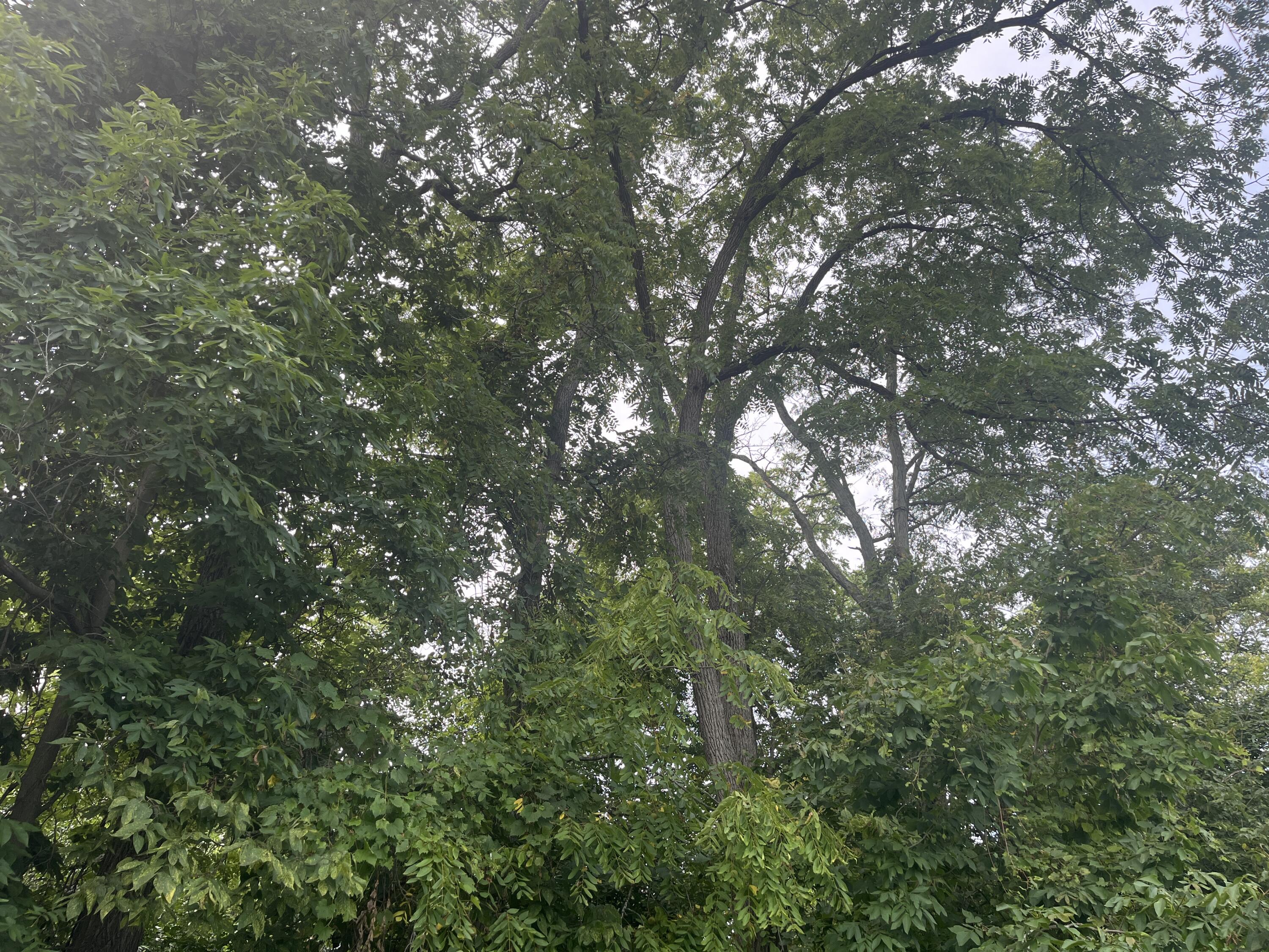 0 Raymond Road, Marysville, Ohio 43040