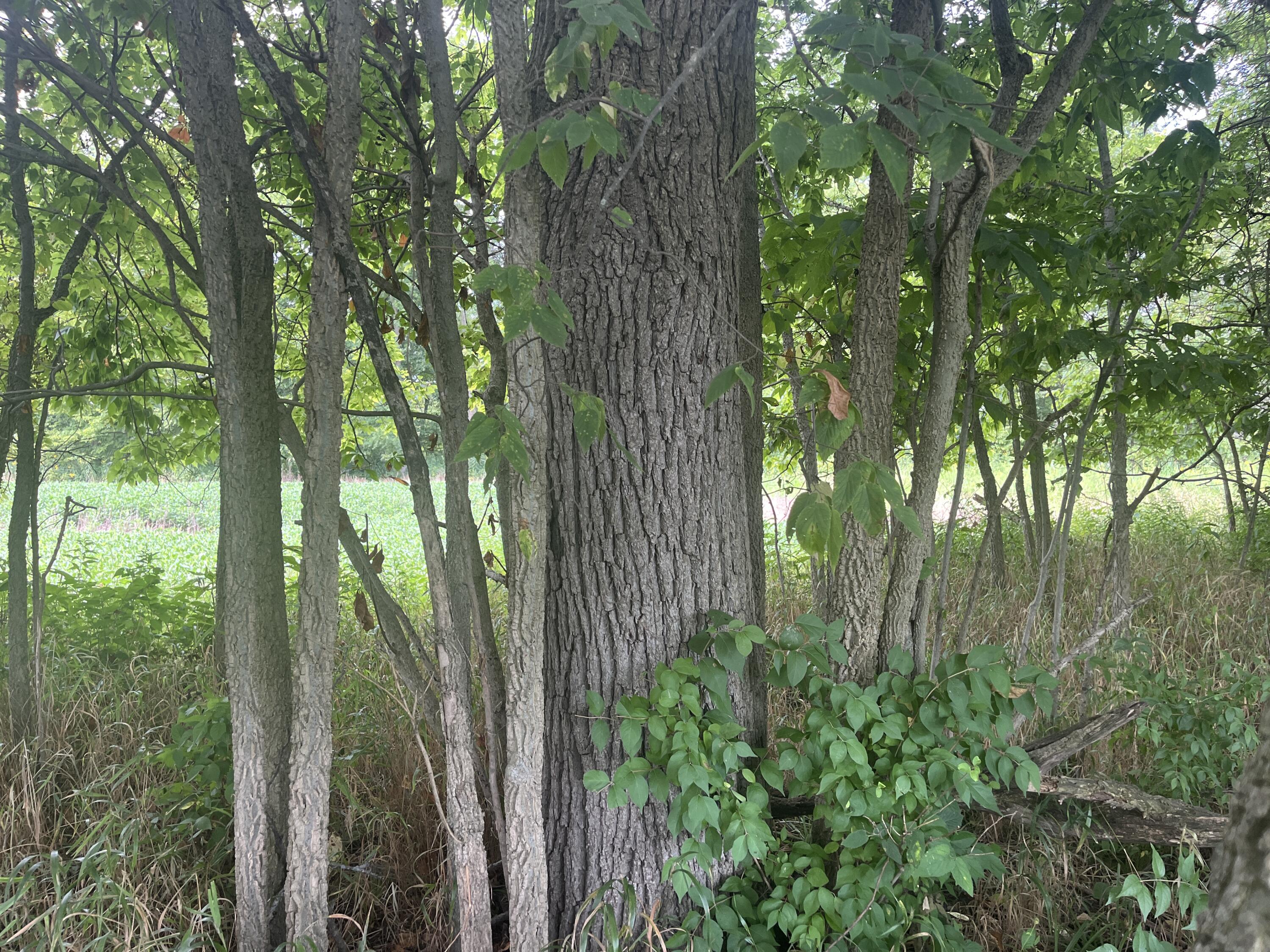 0 Raymond Road, Marysville, Ohio 43040