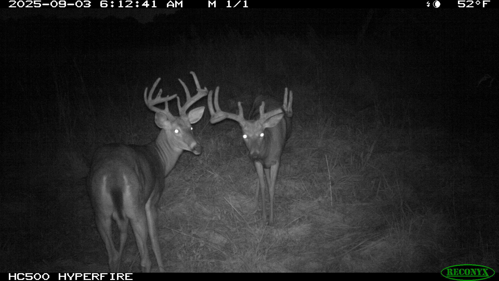 0 Raymond Road, Marysville, Ohio 43040