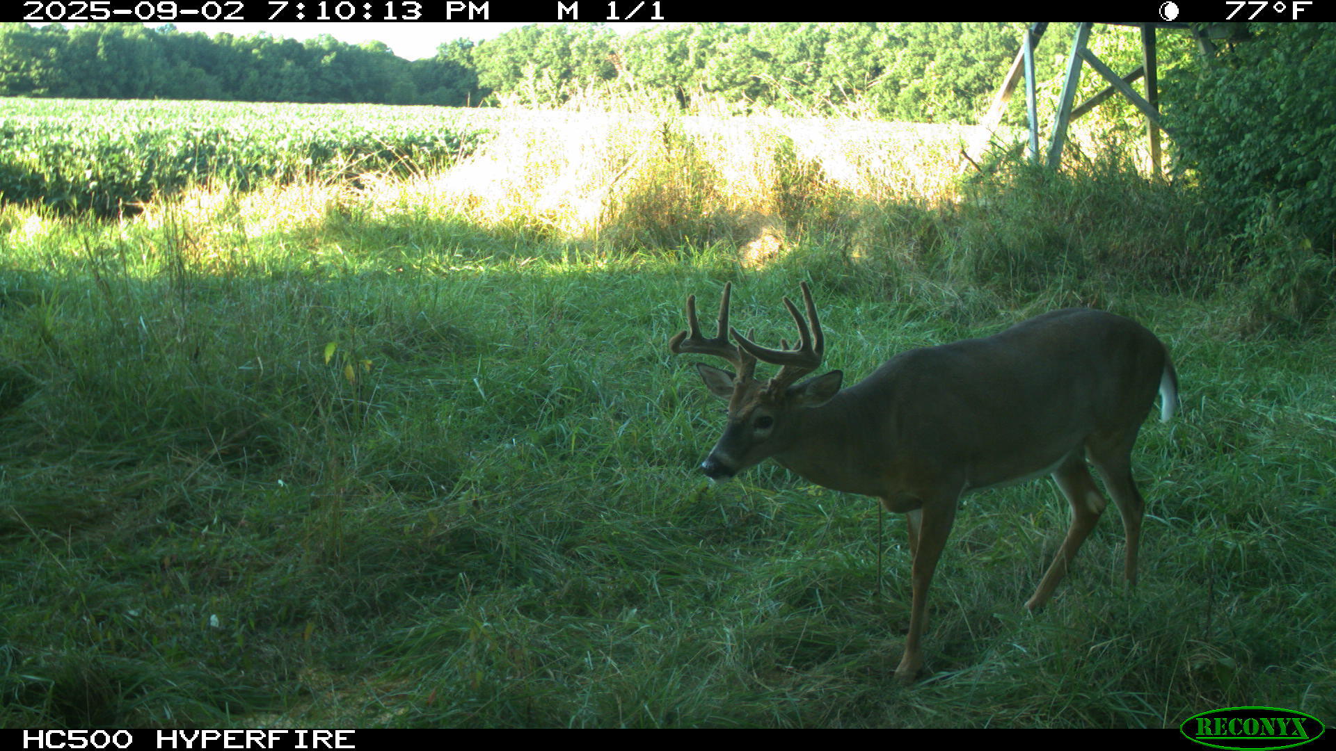 0 Raymond Road, Marysville, Ohio 43040