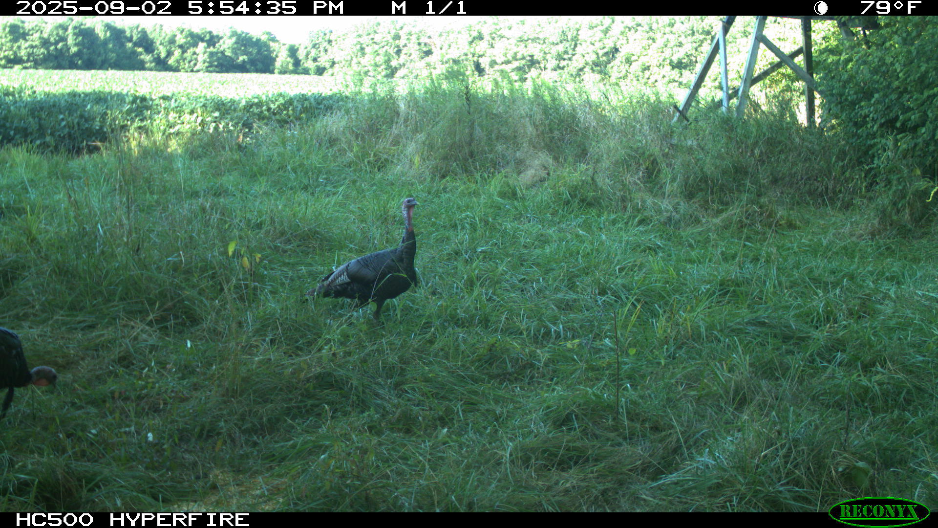 0 Raymond Road, Marysville, Ohio 43040