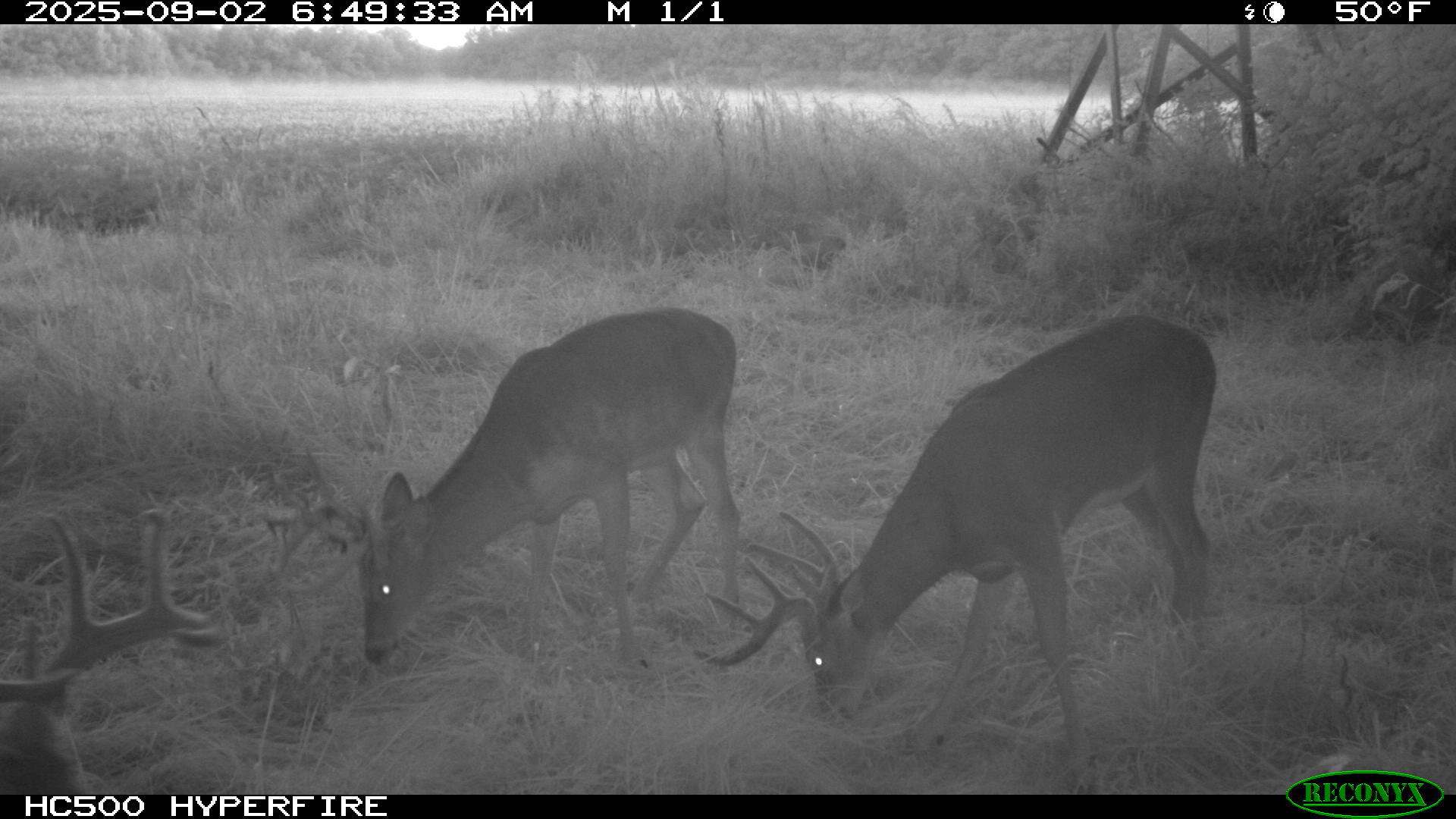 0 Raymond Road, Marysville, Ohio 43040