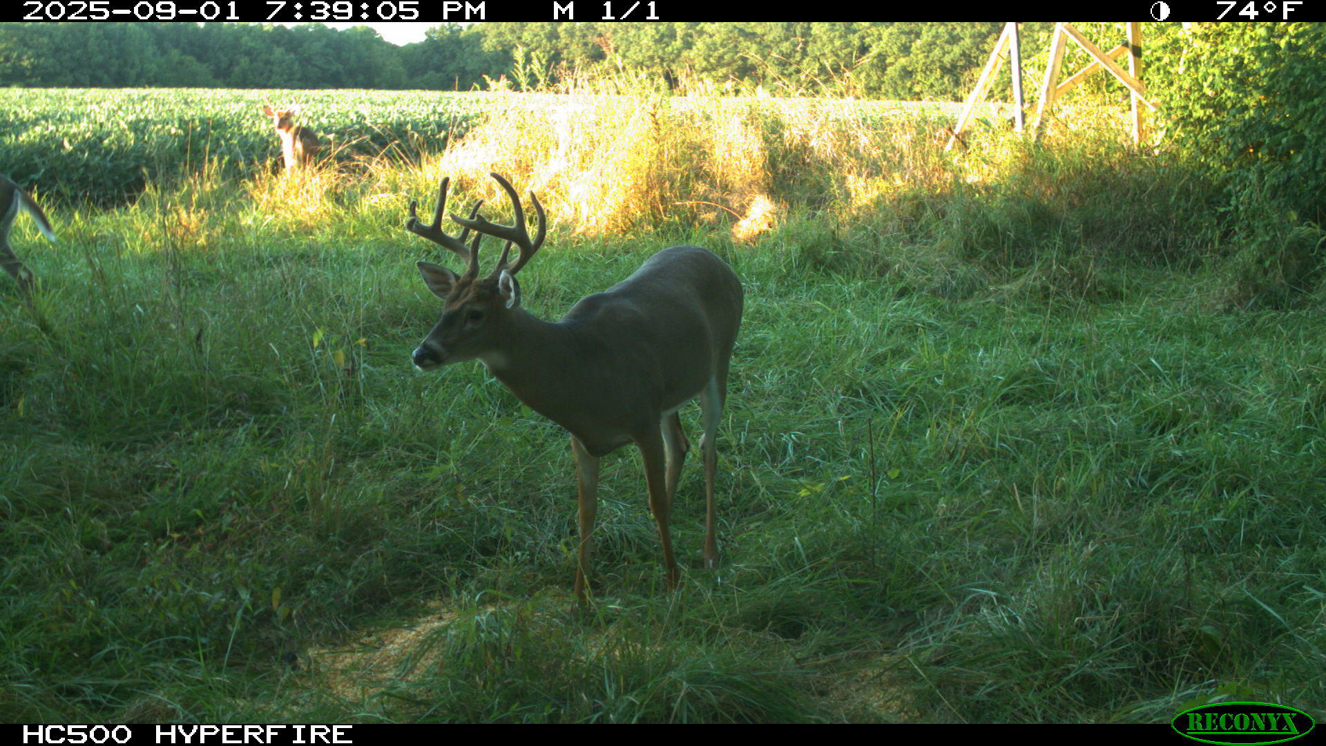 0 Raymond Road, Marysville, Ohio 43040