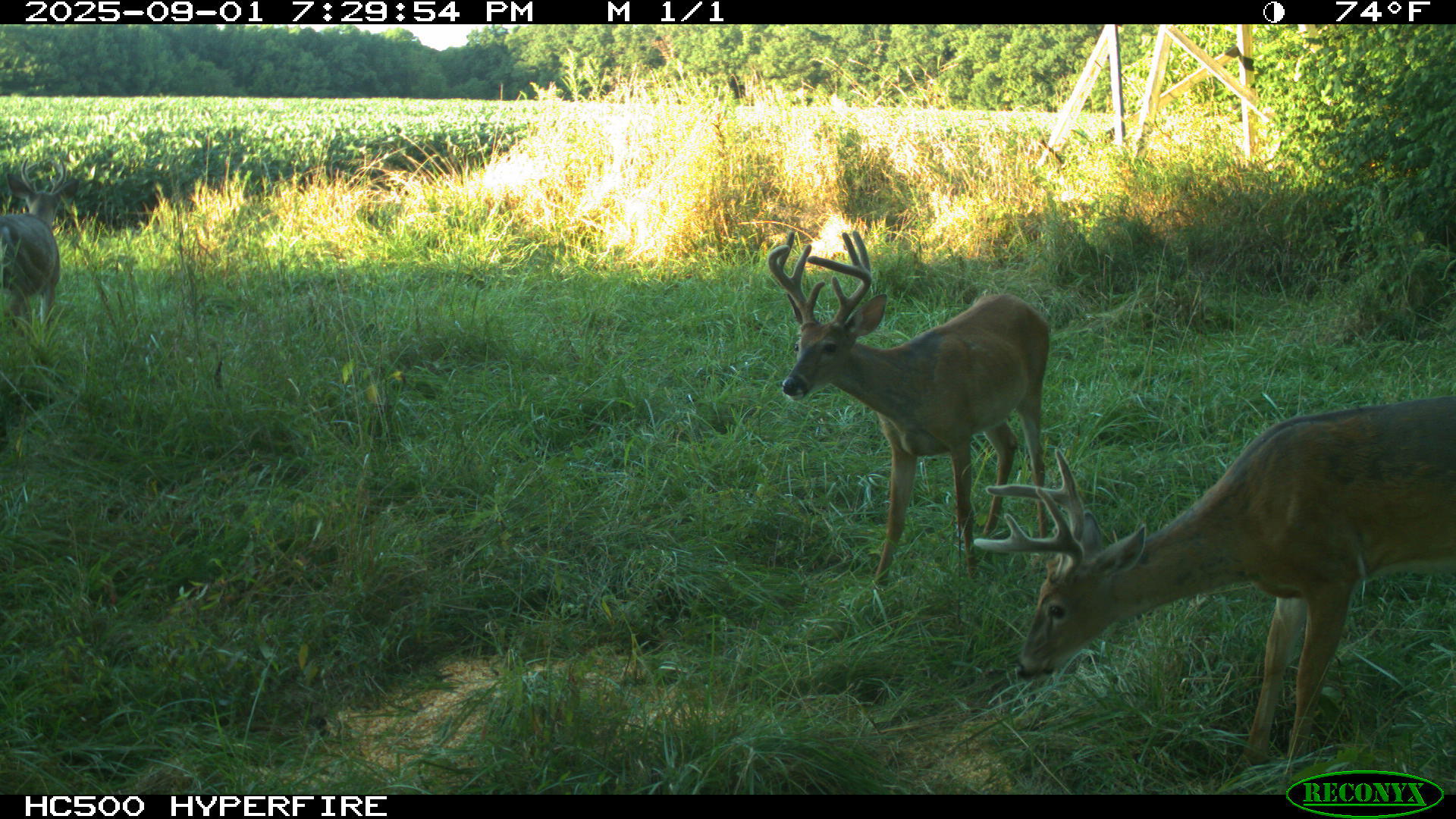 0 Raymond Road, Marysville, Ohio 43040