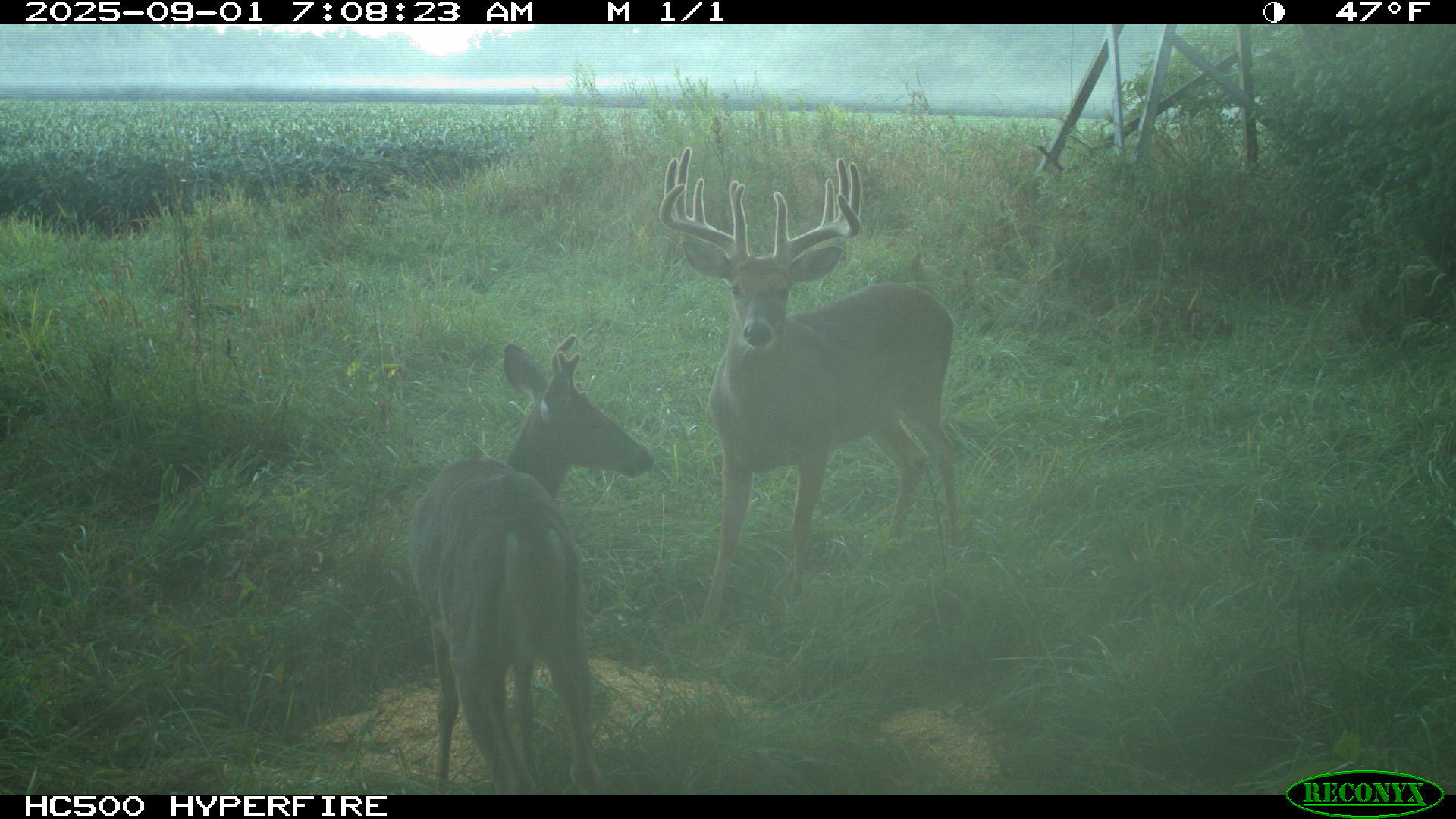 0 Raymond Road, Marysville, Ohio 43040