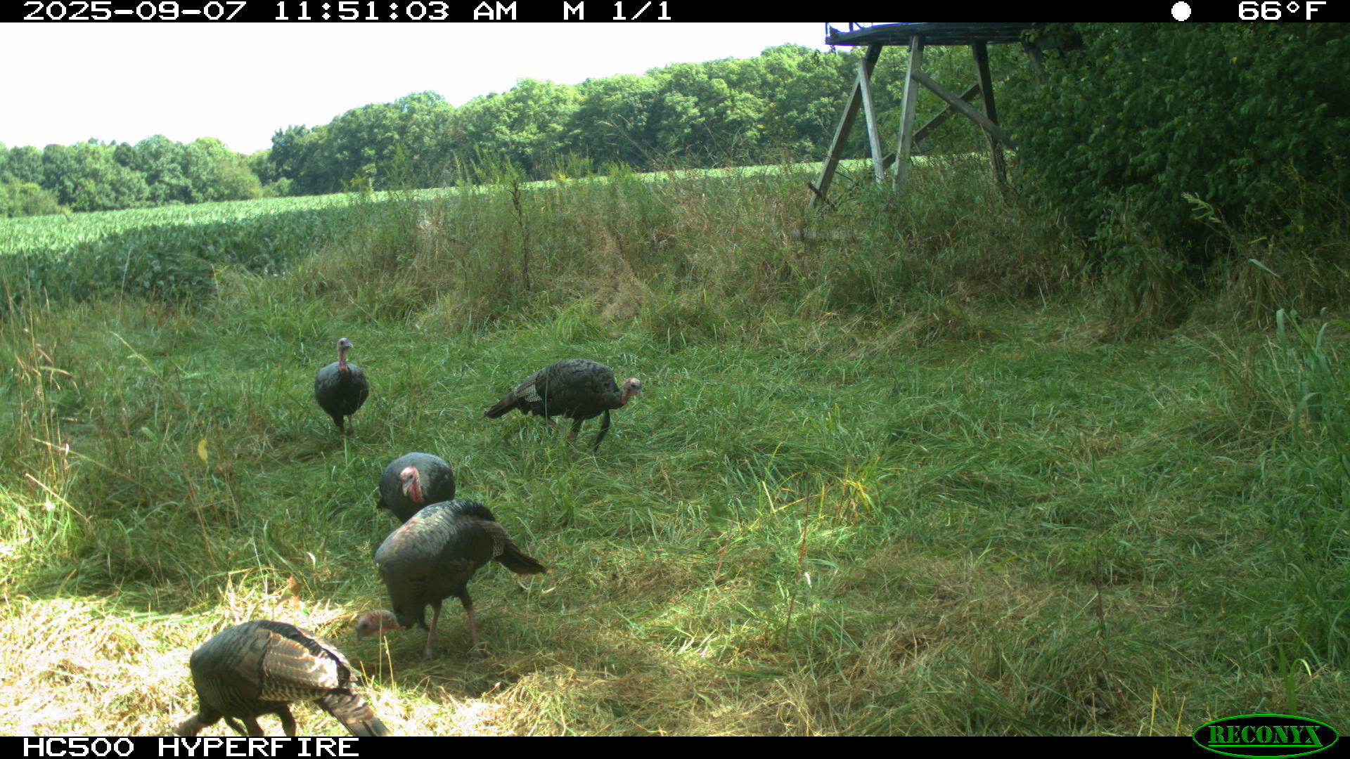 0 Raymond Road, Marysville, Ohio 43040