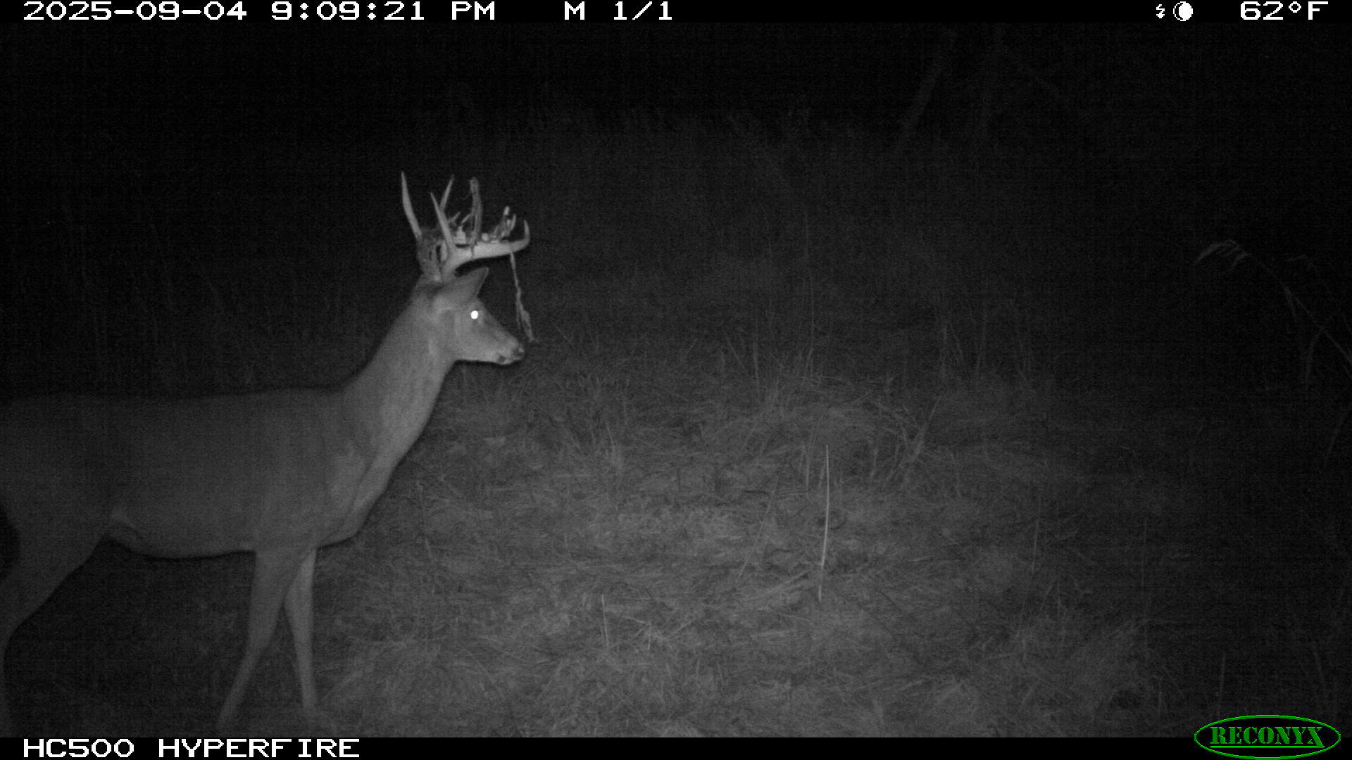 0 Raymond Road, Marysville, Ohio 43040