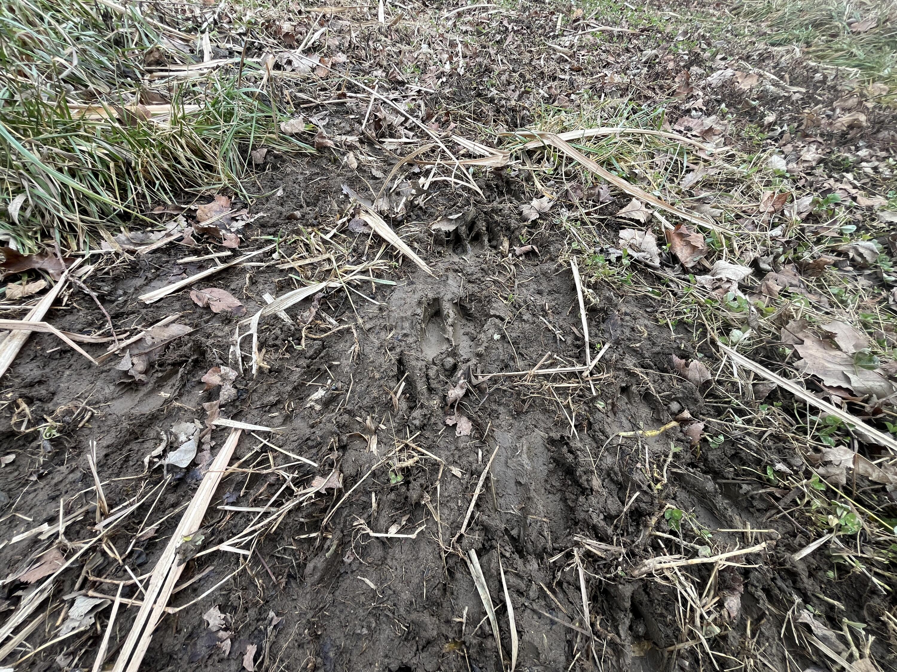 0 Kite Road, Saint Paris, Ohio 43072