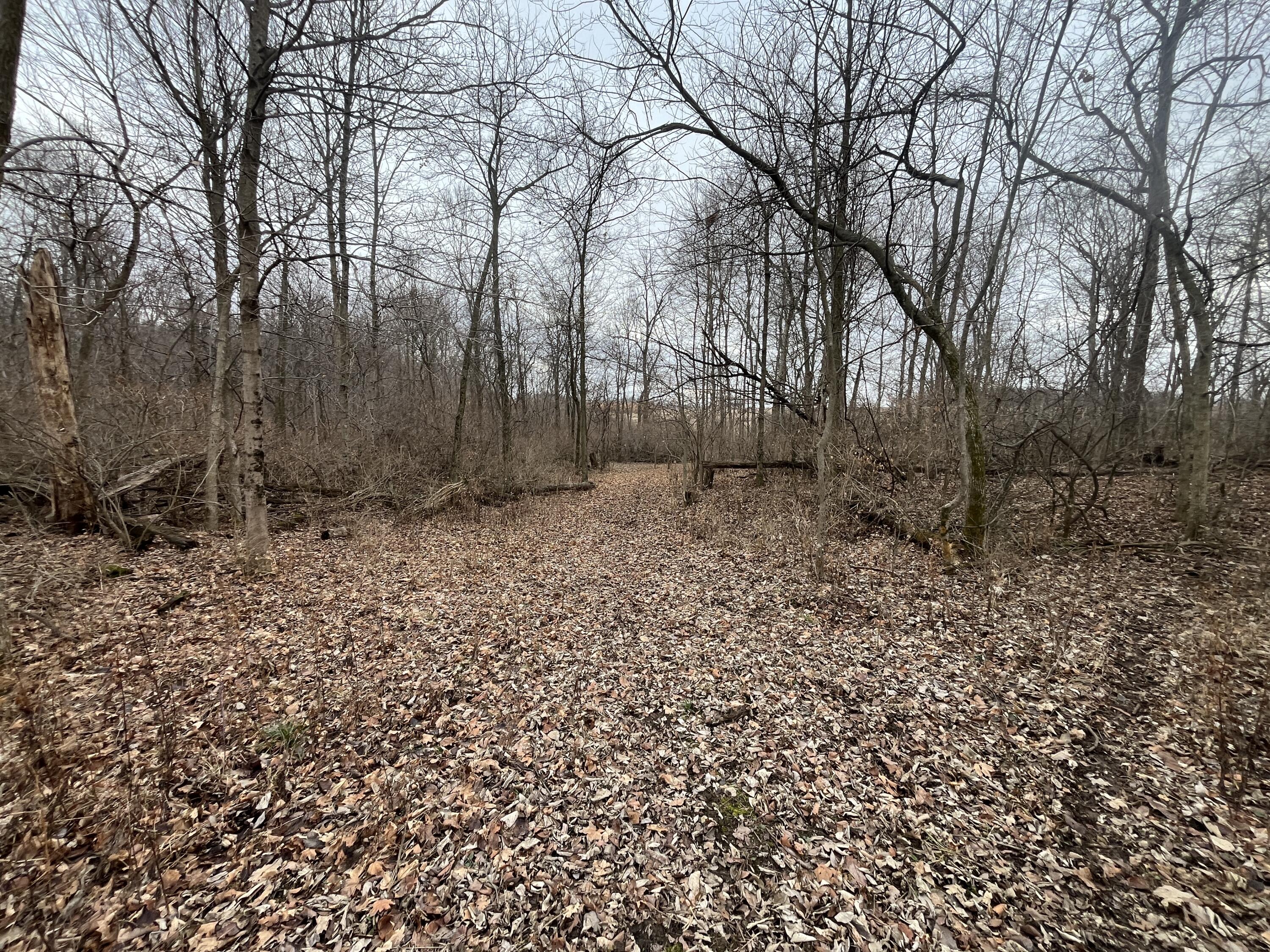 0 Kite Road, Saint Paris, Ohio 43072