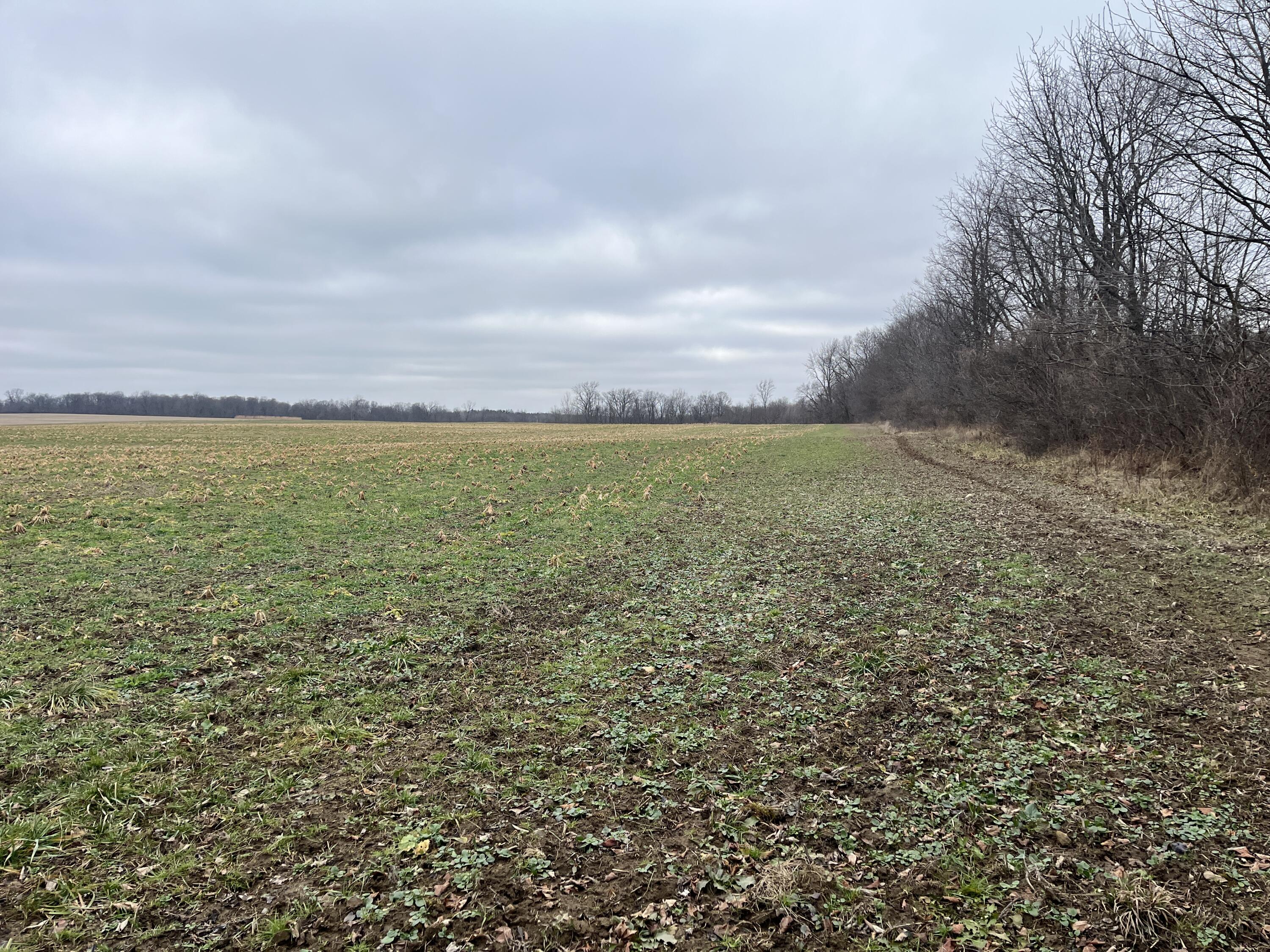 0 Kite Road, Saint Paris, Ohio 43072